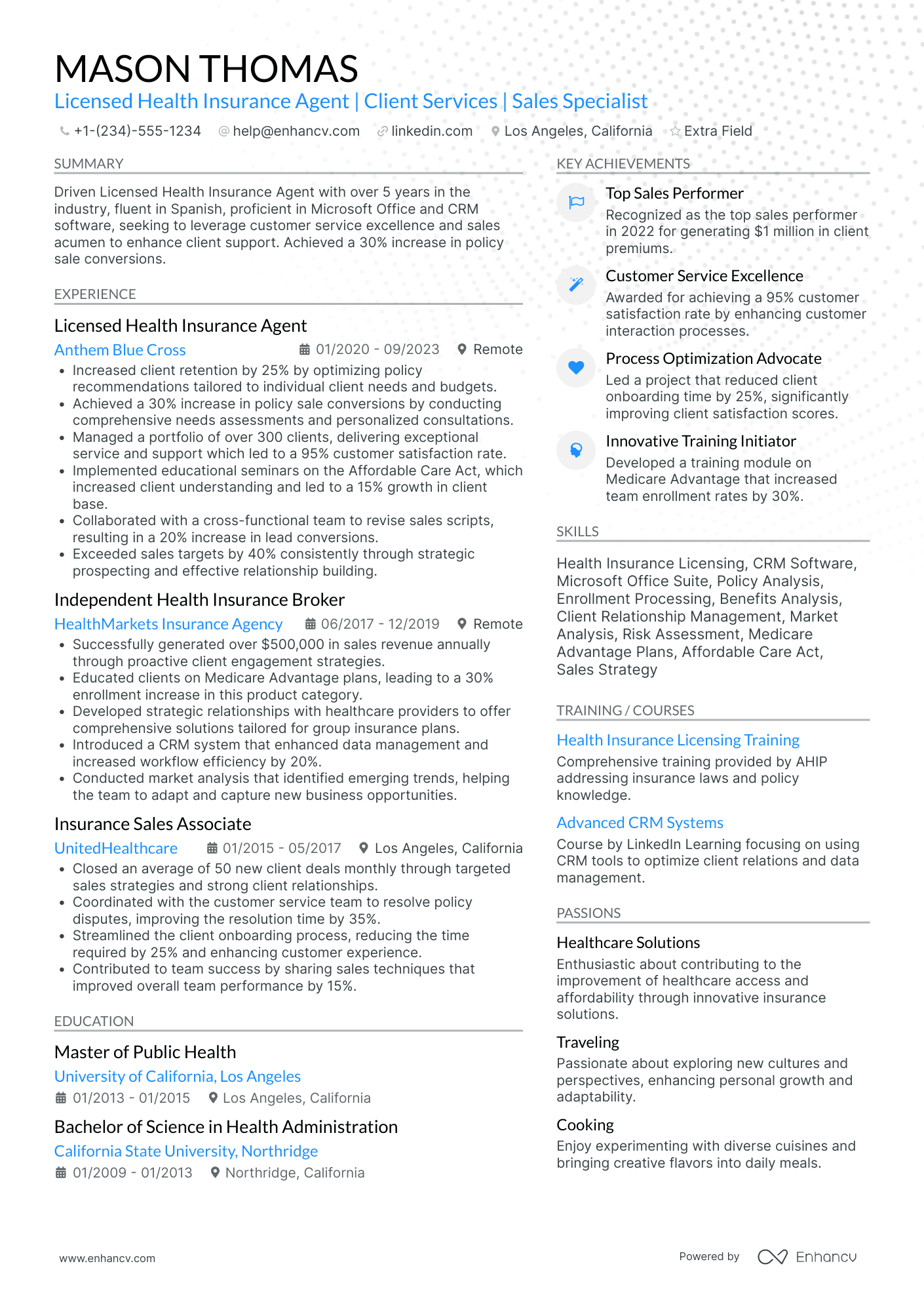 Experienced Insurance Agent Resume Example