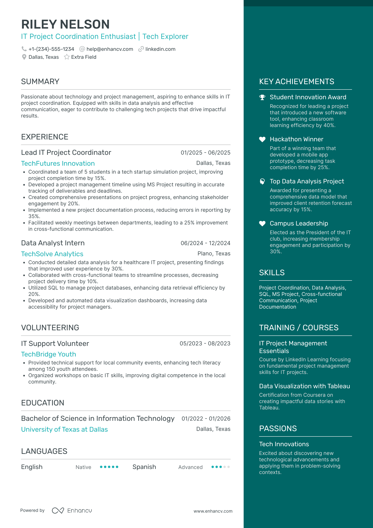 IT Project Management Intern Resume Example