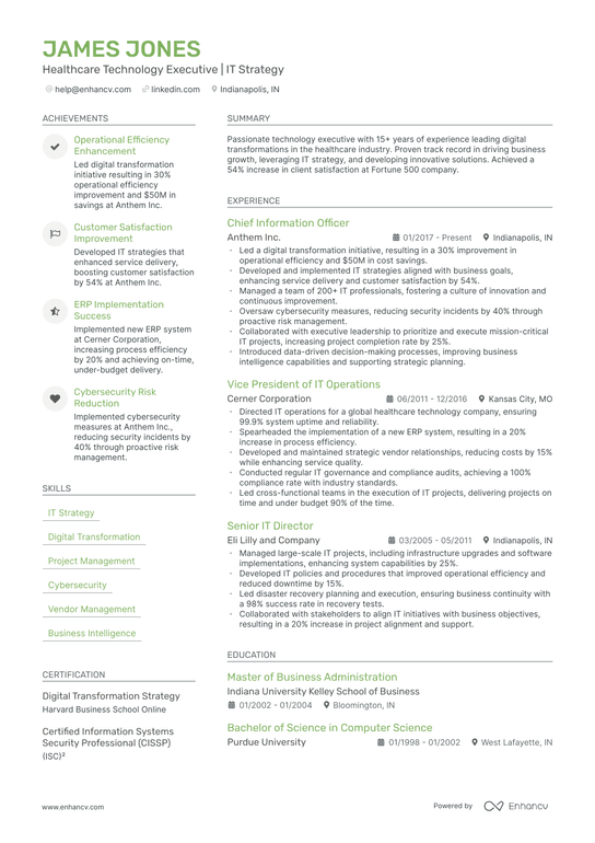 Healthcare Technology CTO Resume Example
