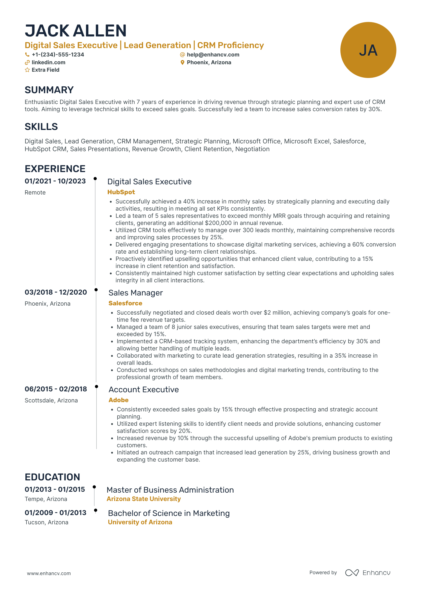 Digital Marketing Sales Executive Resume Example