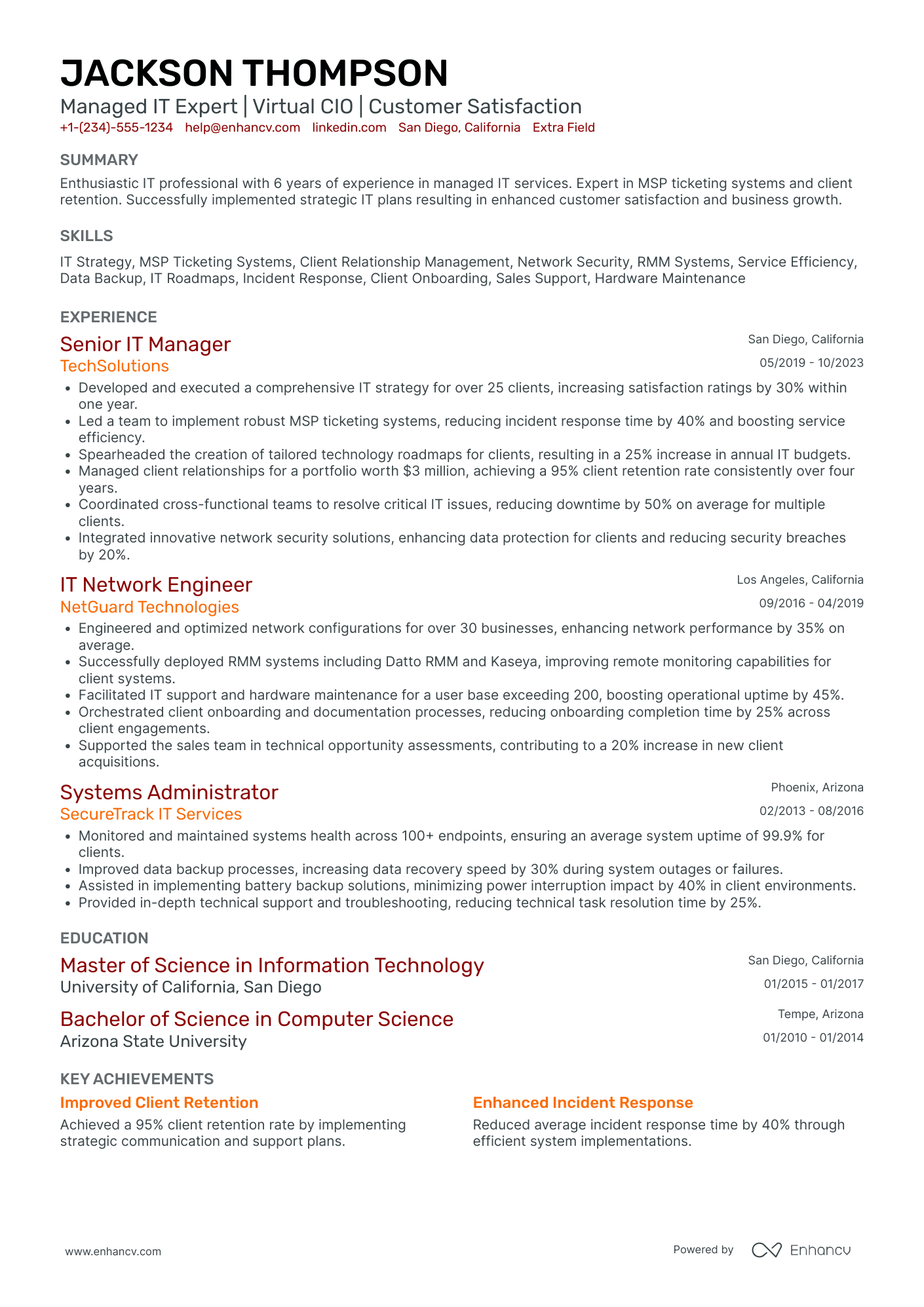 Interim Chief Information Officer Resume Example