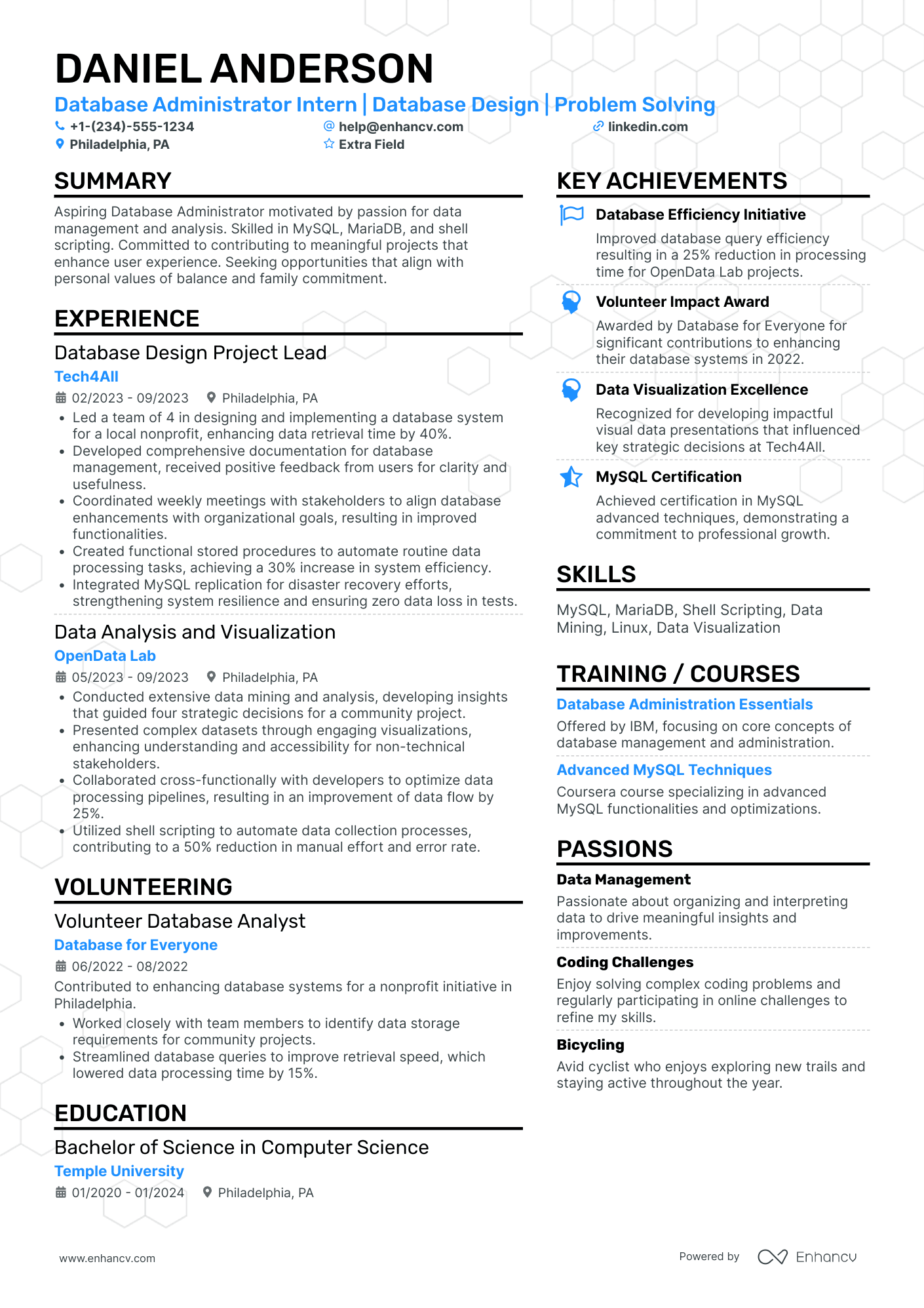 IT Database Administrator Intern Resume Example