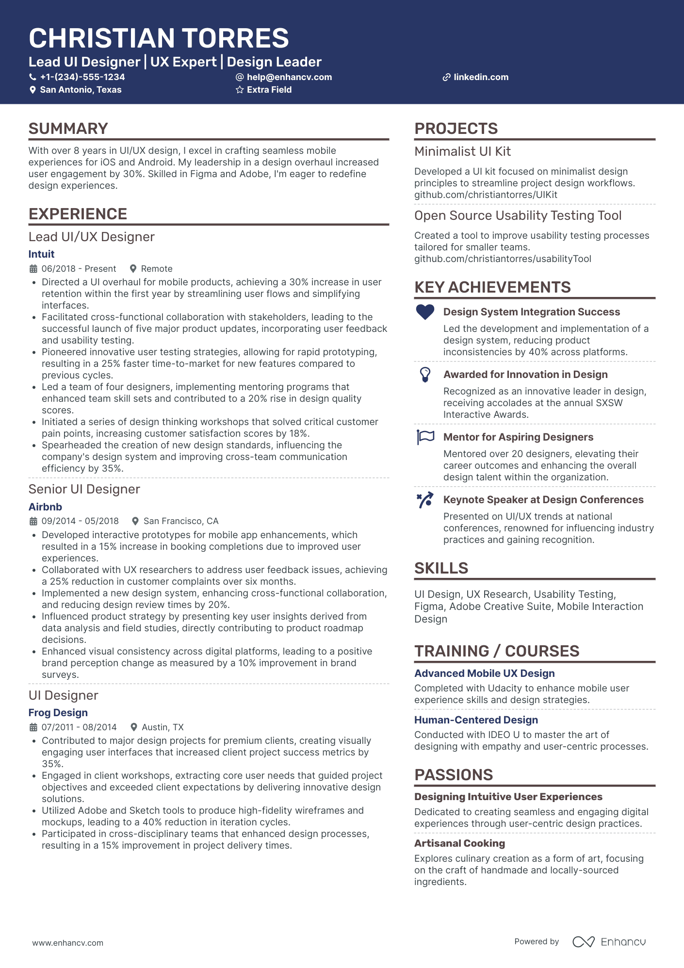 Lead UI Designer Resume Example