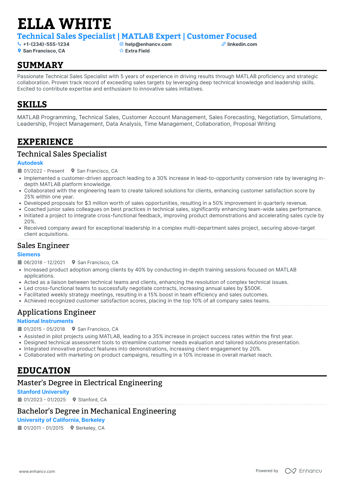 Technical Sales Person Resume Example