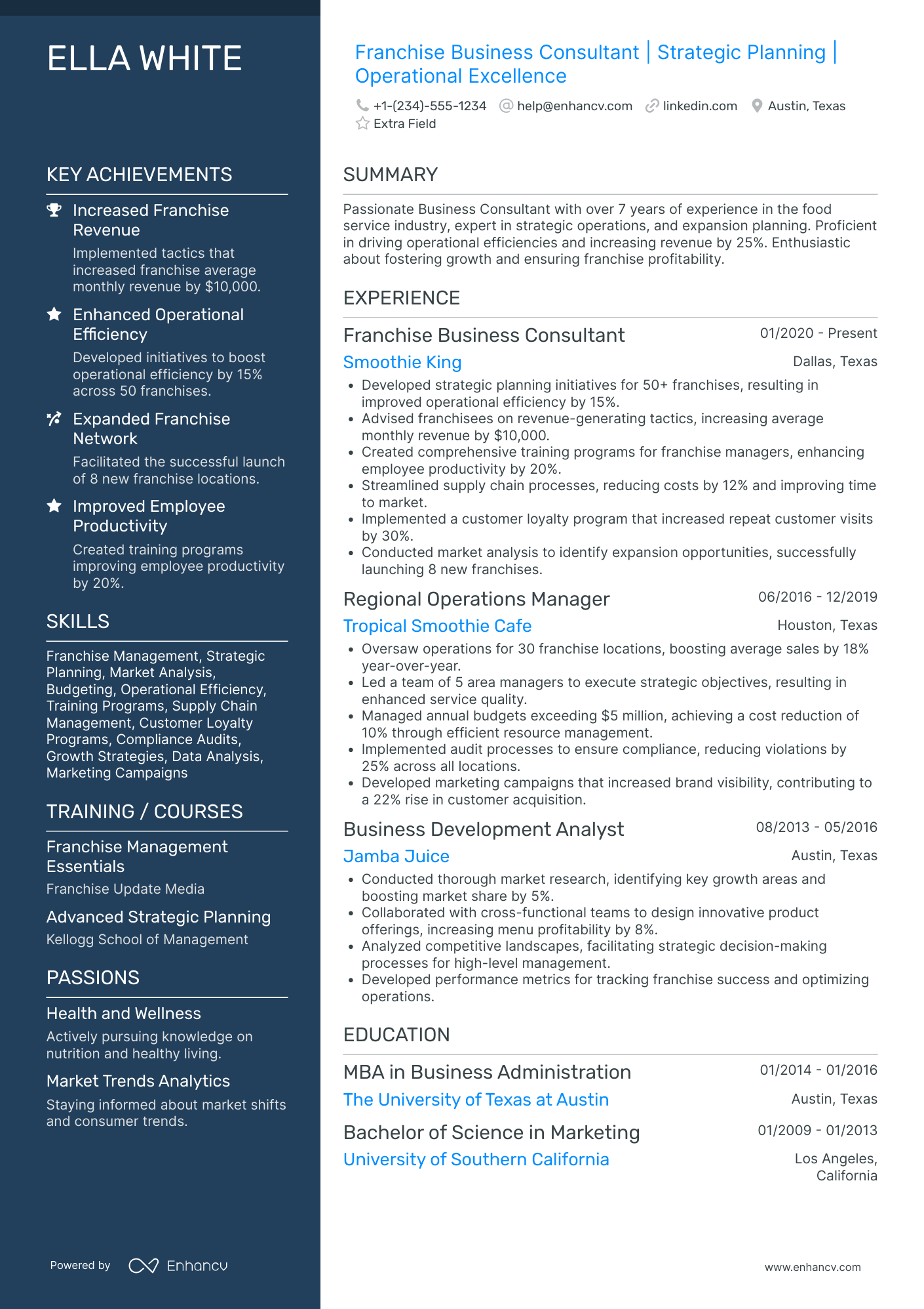 Technology Business Consultant Resume Example