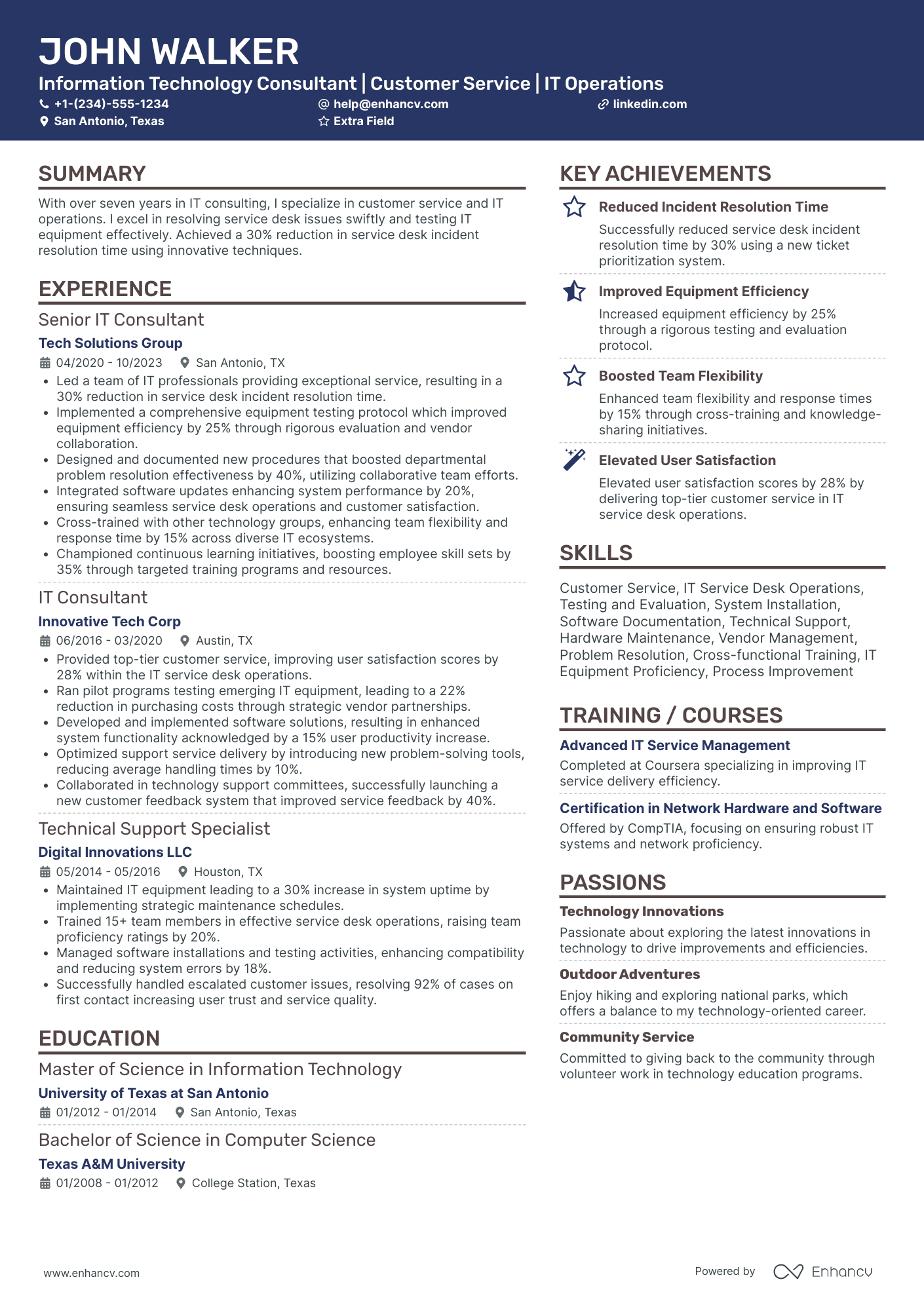 Information Technology Consultant Resume Example