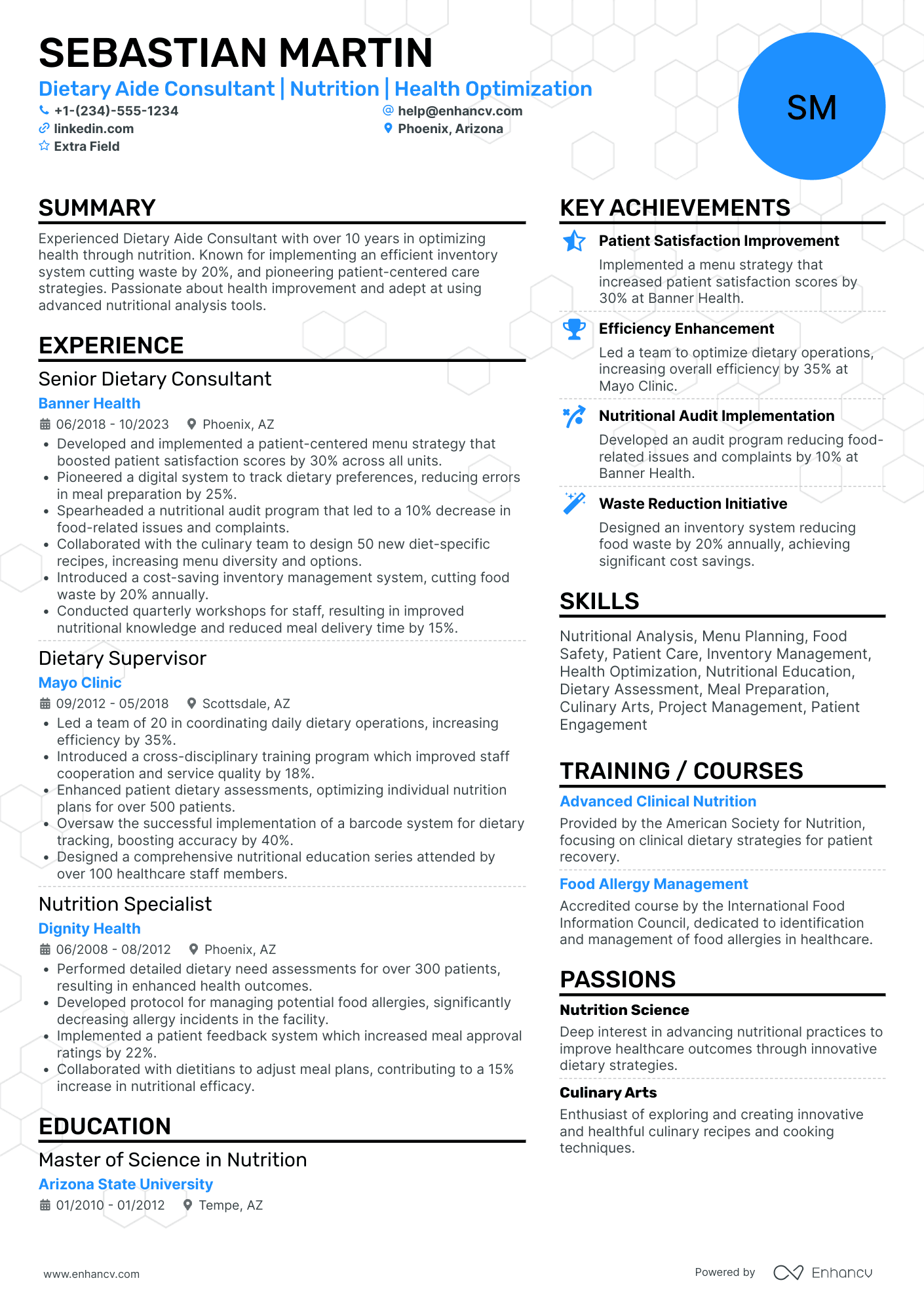 Dietary Aide Consultant Resume Example