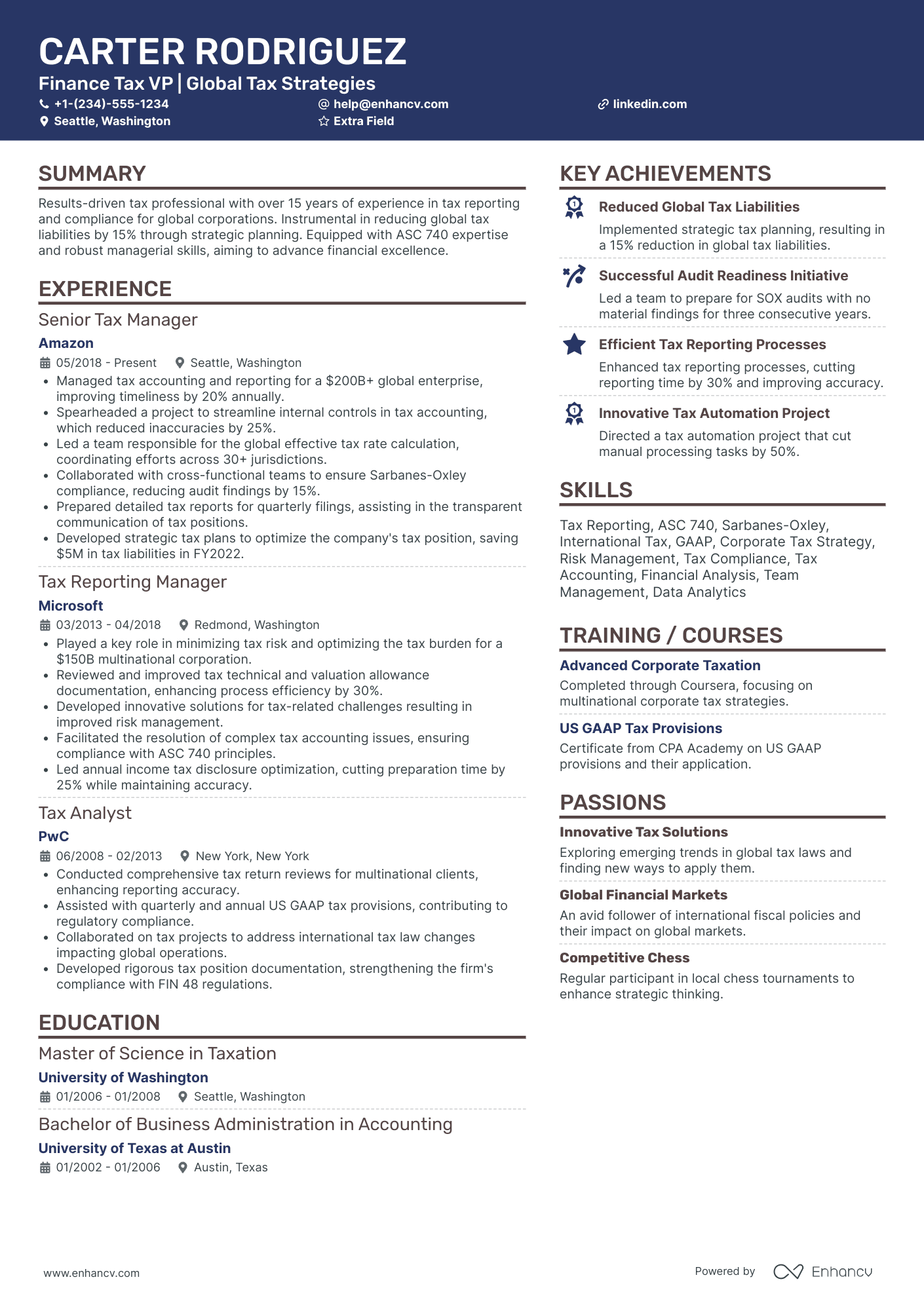 VP of Finance and Tax Resume Example