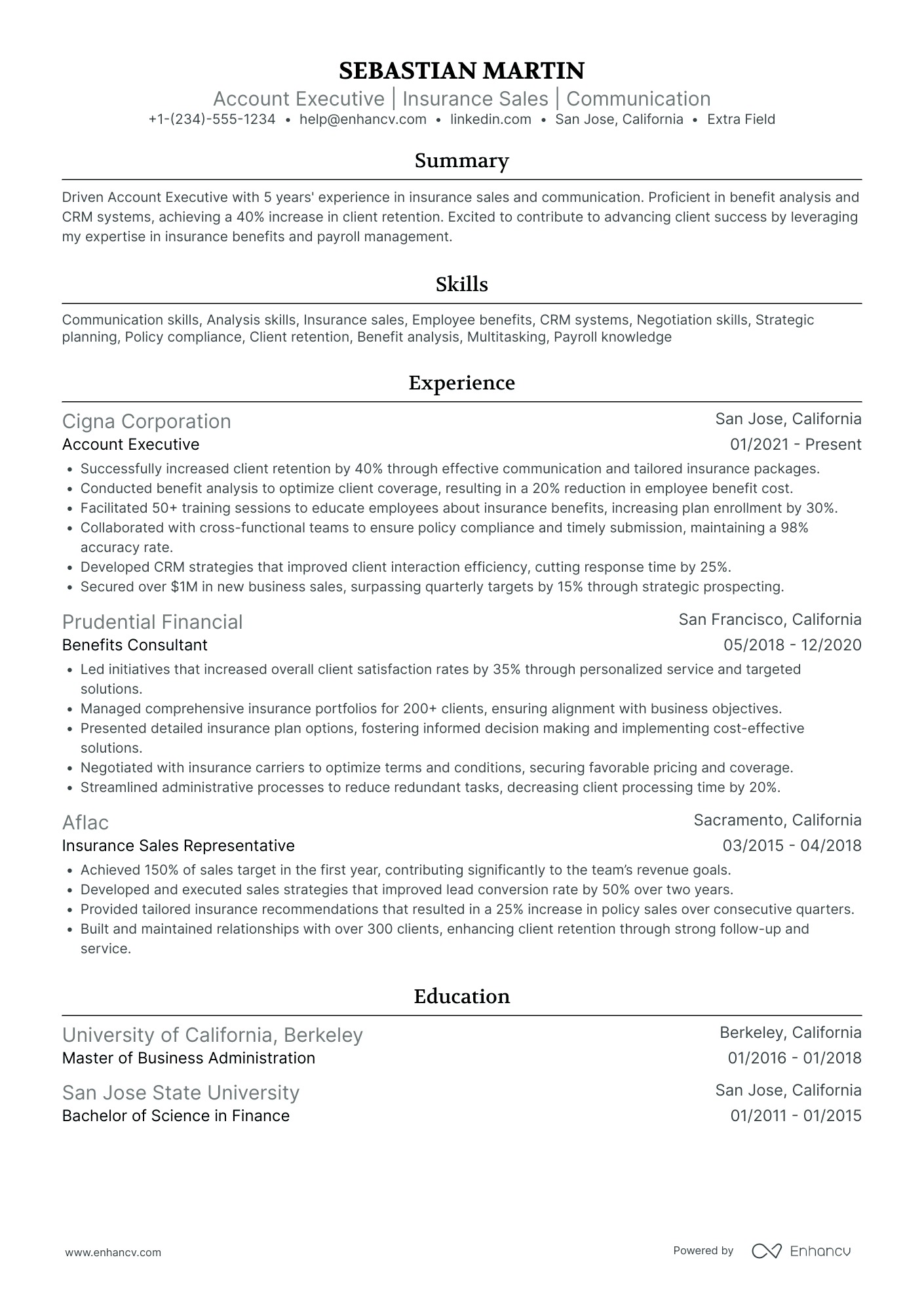 Insurance Account Executive Resume Example