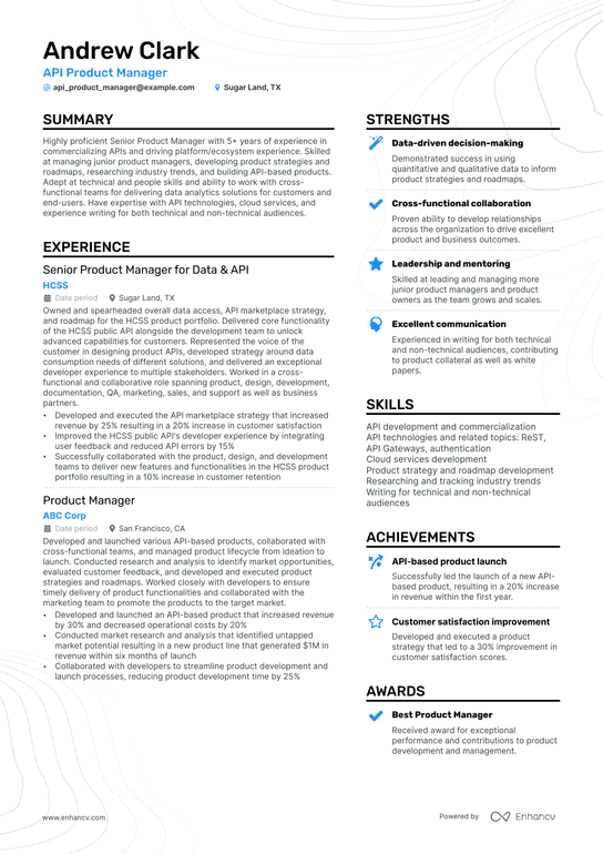 Api Product Manager Resume Example