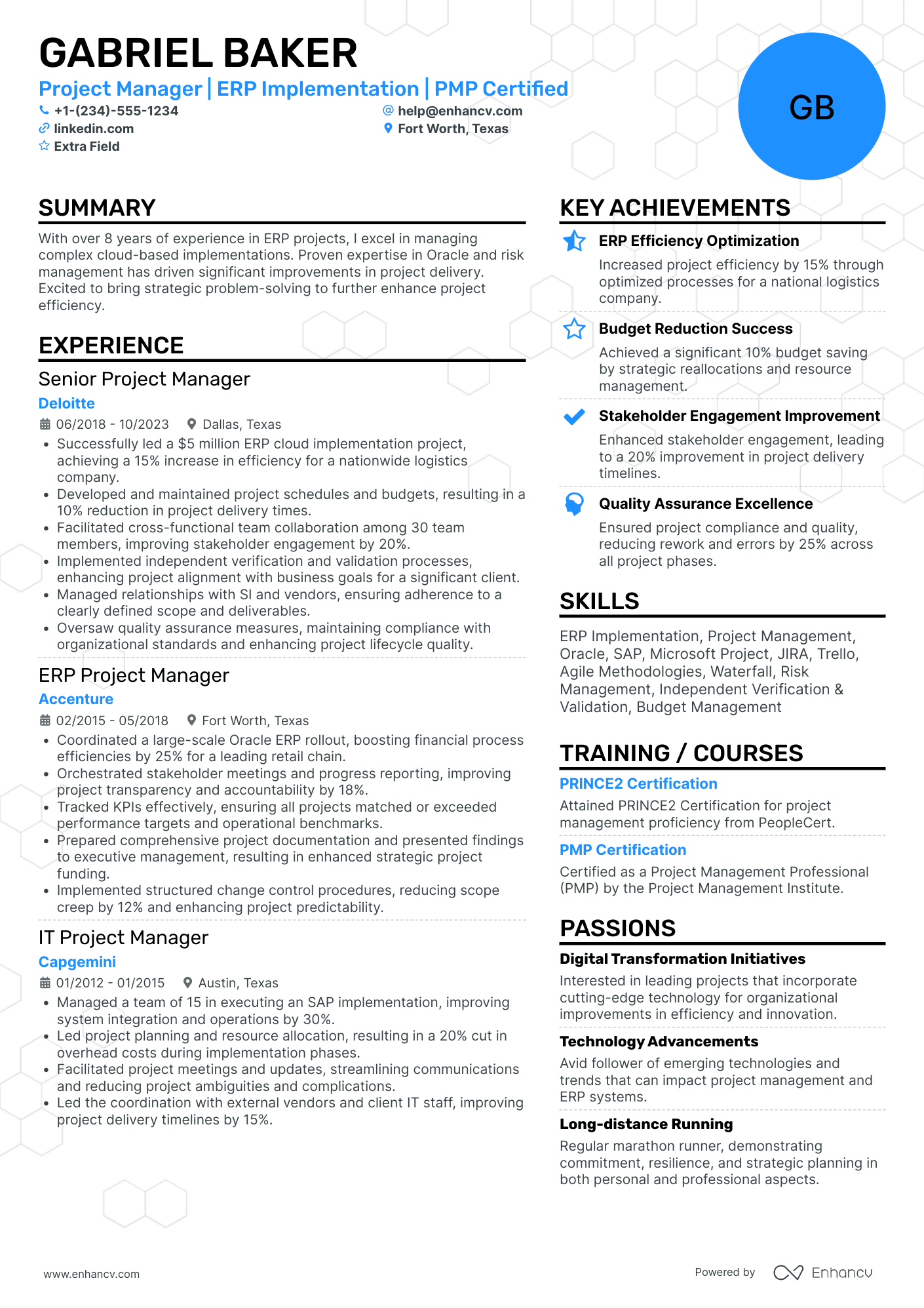 ERP Implementation Manager Resume Example