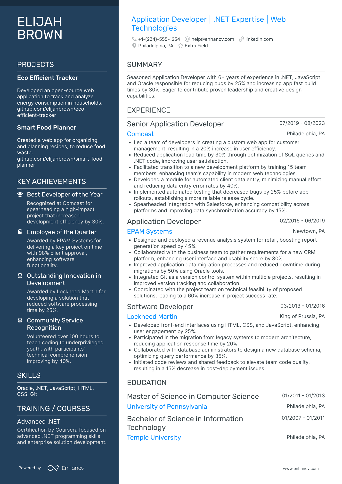 Web Developer Designer Resume Example