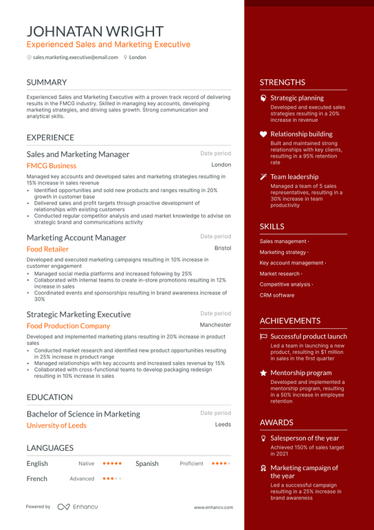 Sales and Marketing Executive Resume Example