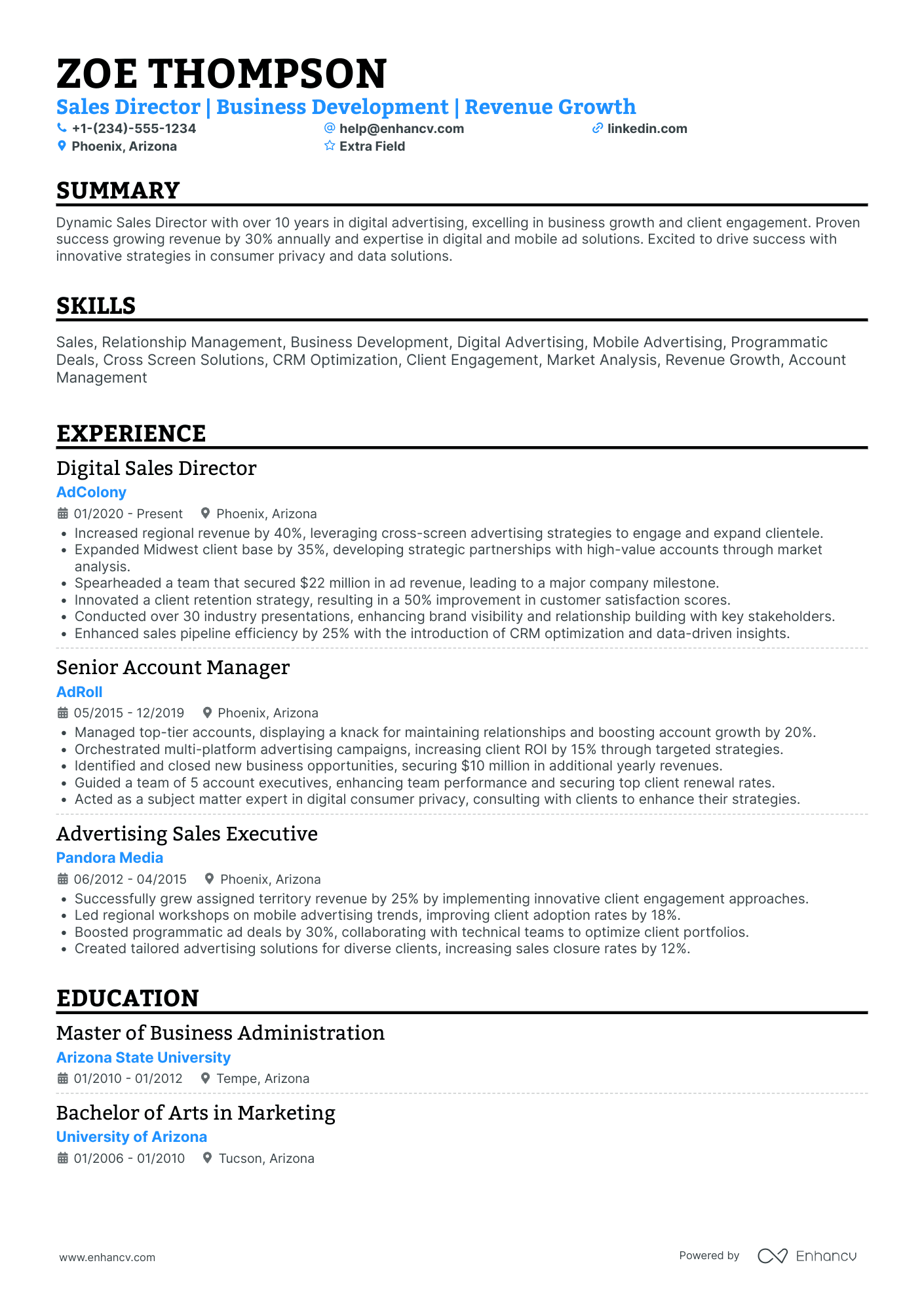 Managing Director of Sales Resume Example