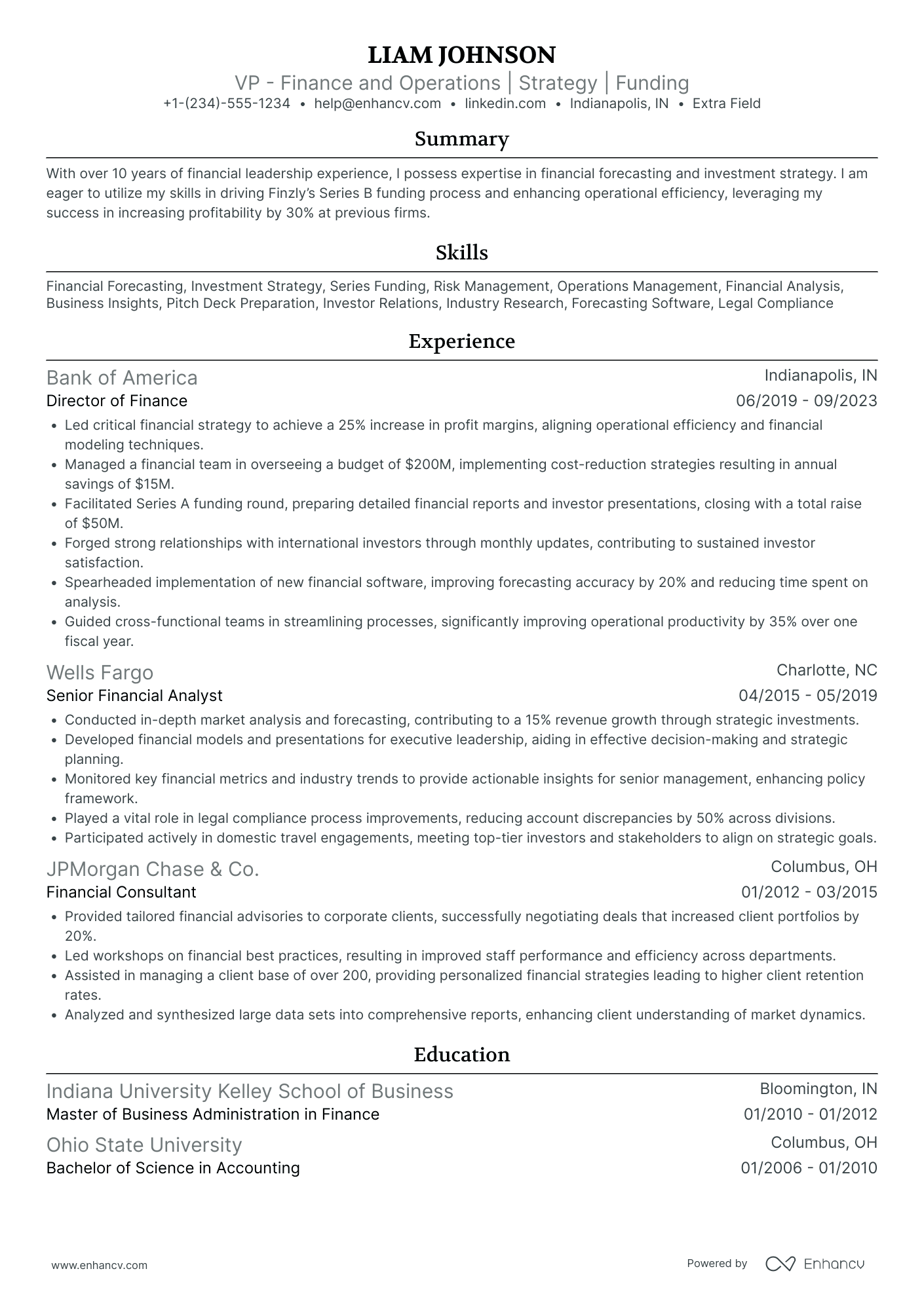 VP of Finance and Operations Resume Example