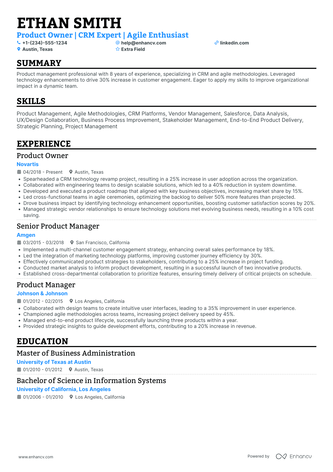 Experienced Business Owner Resume Example