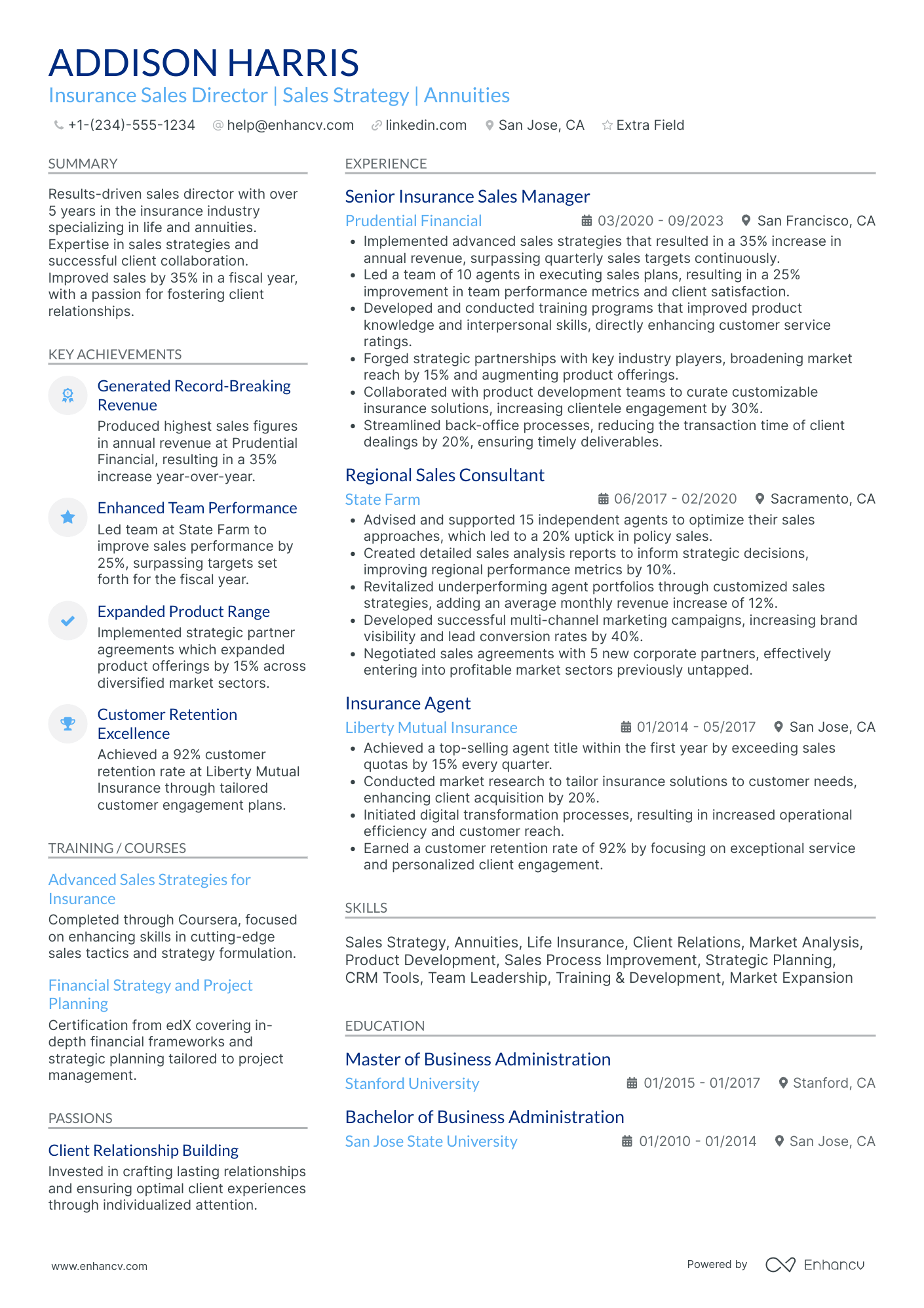 Insurance Sales Director Resume Example