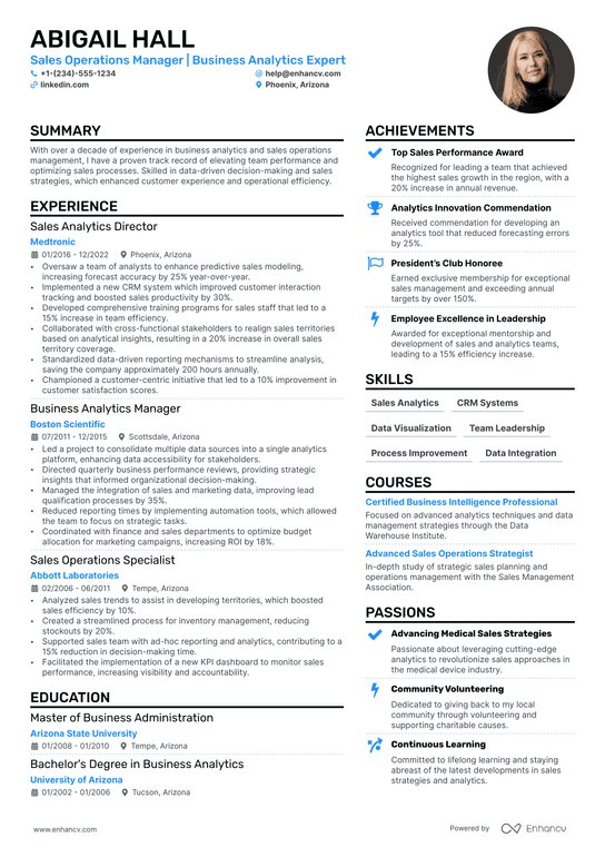 Sales Operations Manager Resume Example