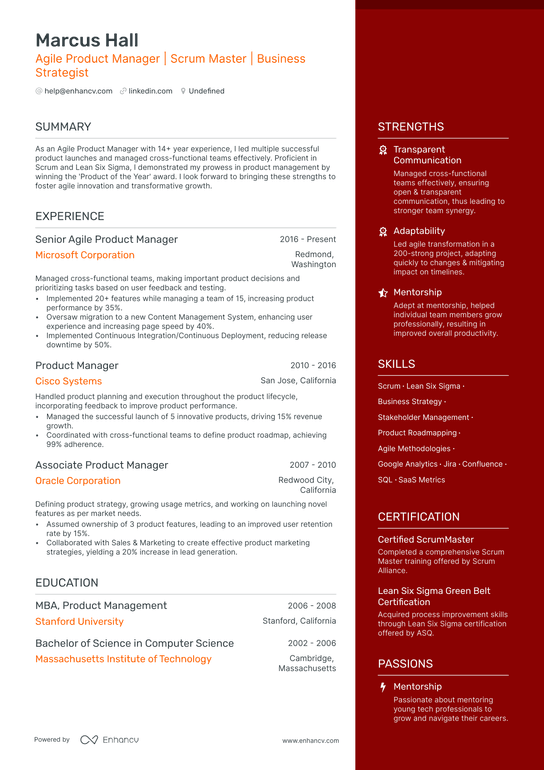Agile Product Manager Resume Example