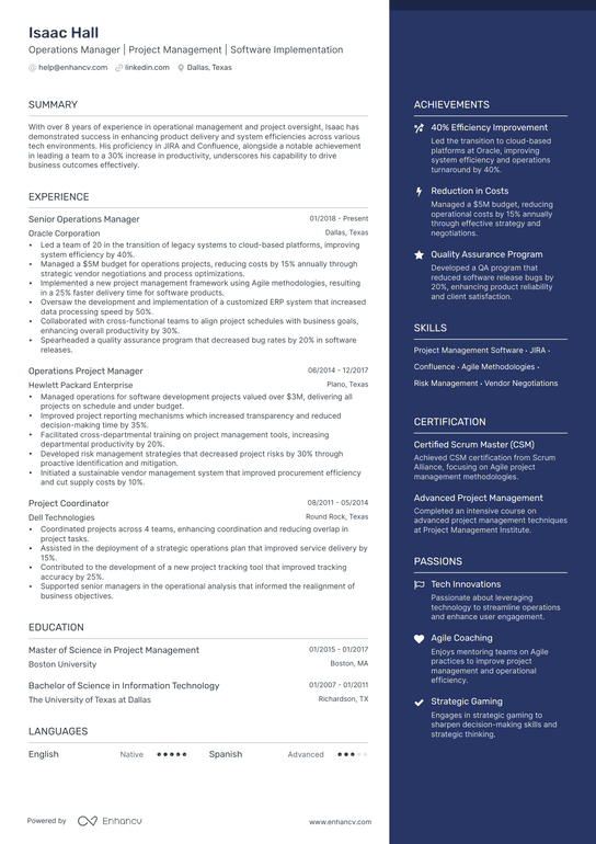 Product Operations Manager Resume Example