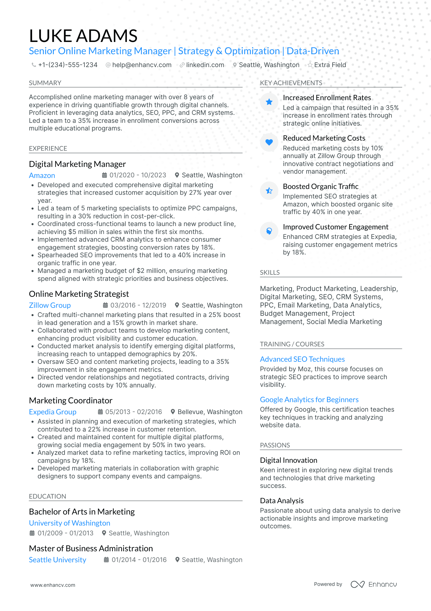 Online Marketing Manager Resume Example