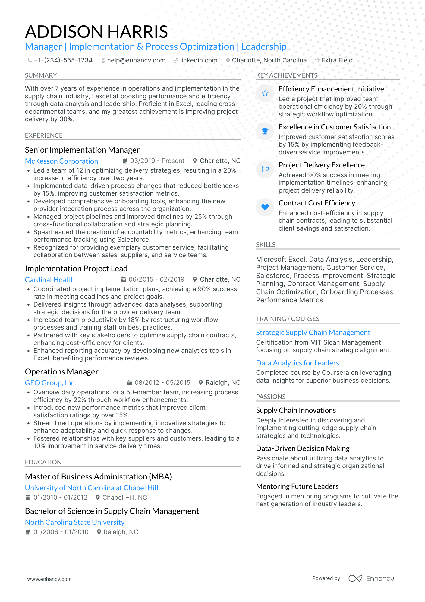 Lead Implementation Manager Resume Example