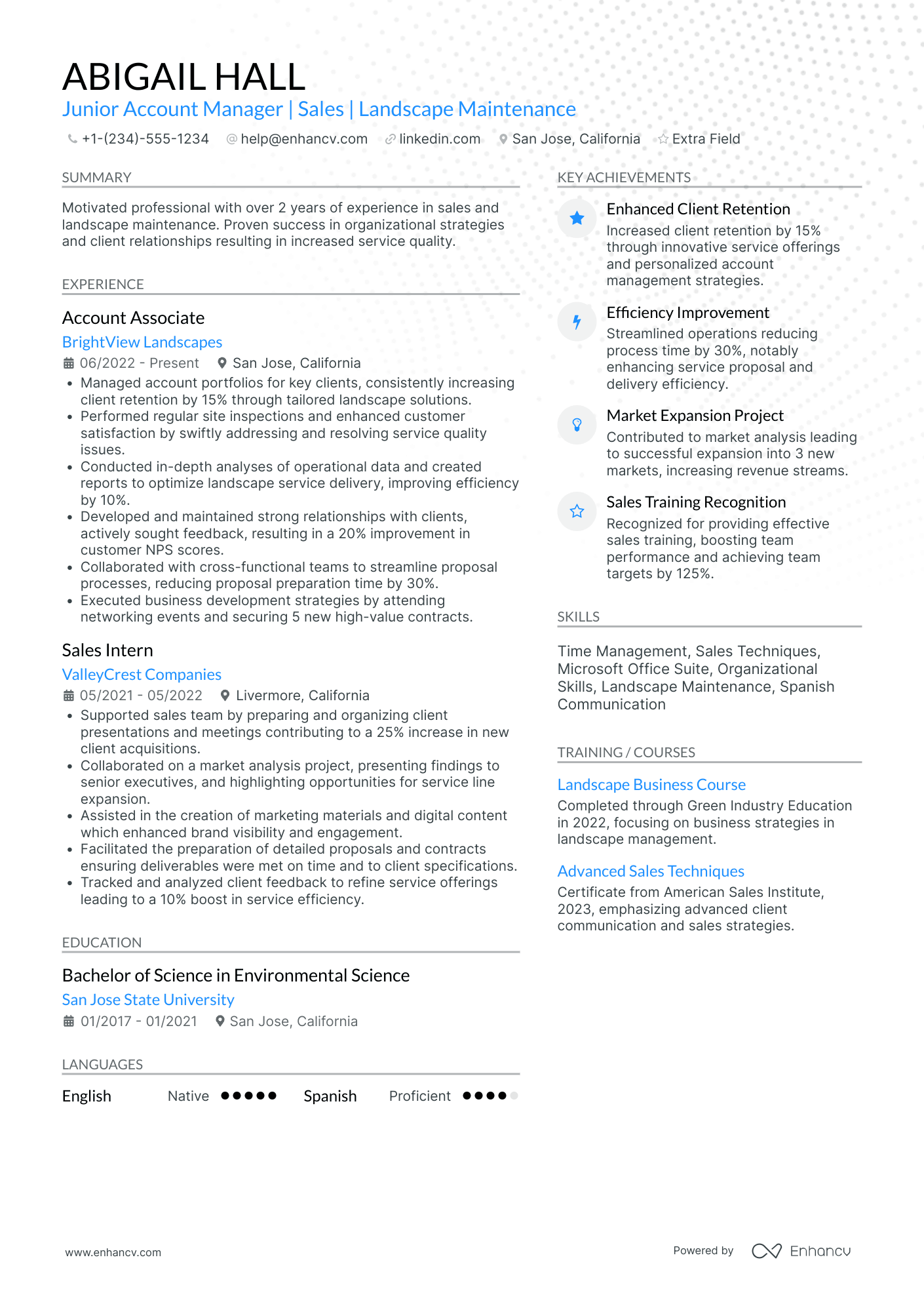 Junior Account Manager Resume Example