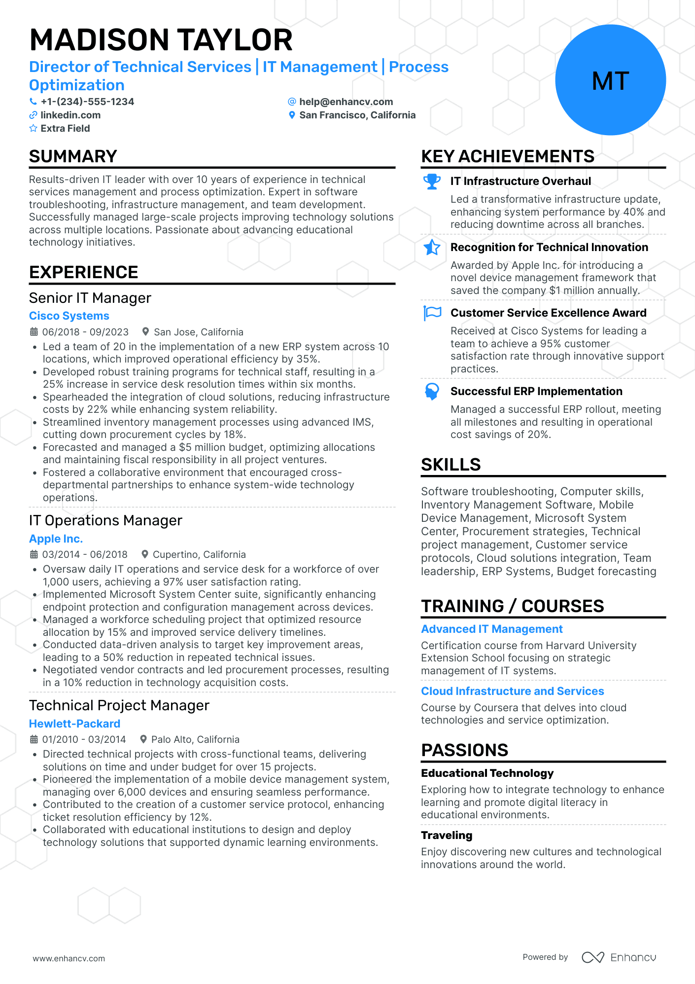 Senior IT Director Resume Example