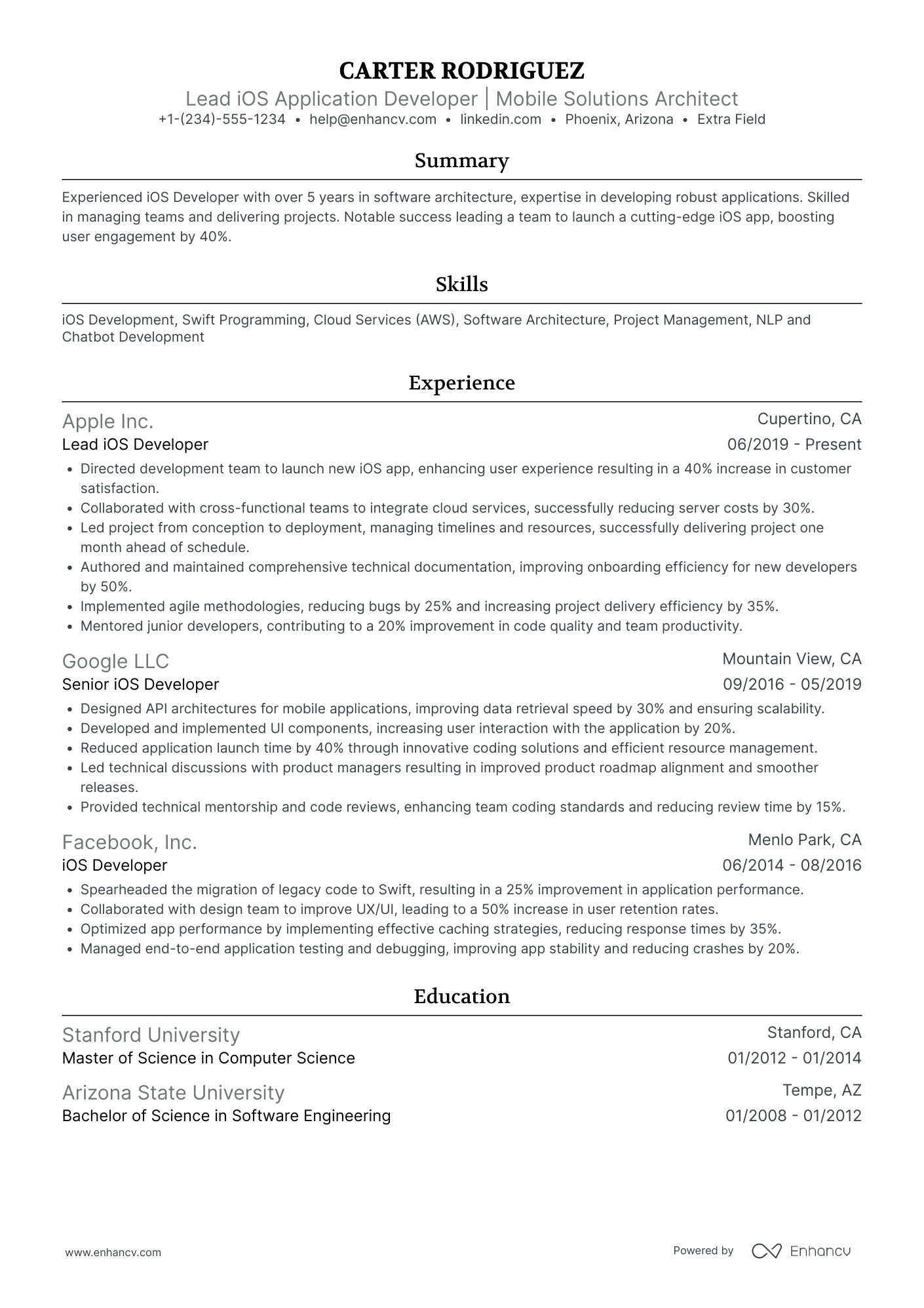 Lead iOS Developer Resume Example