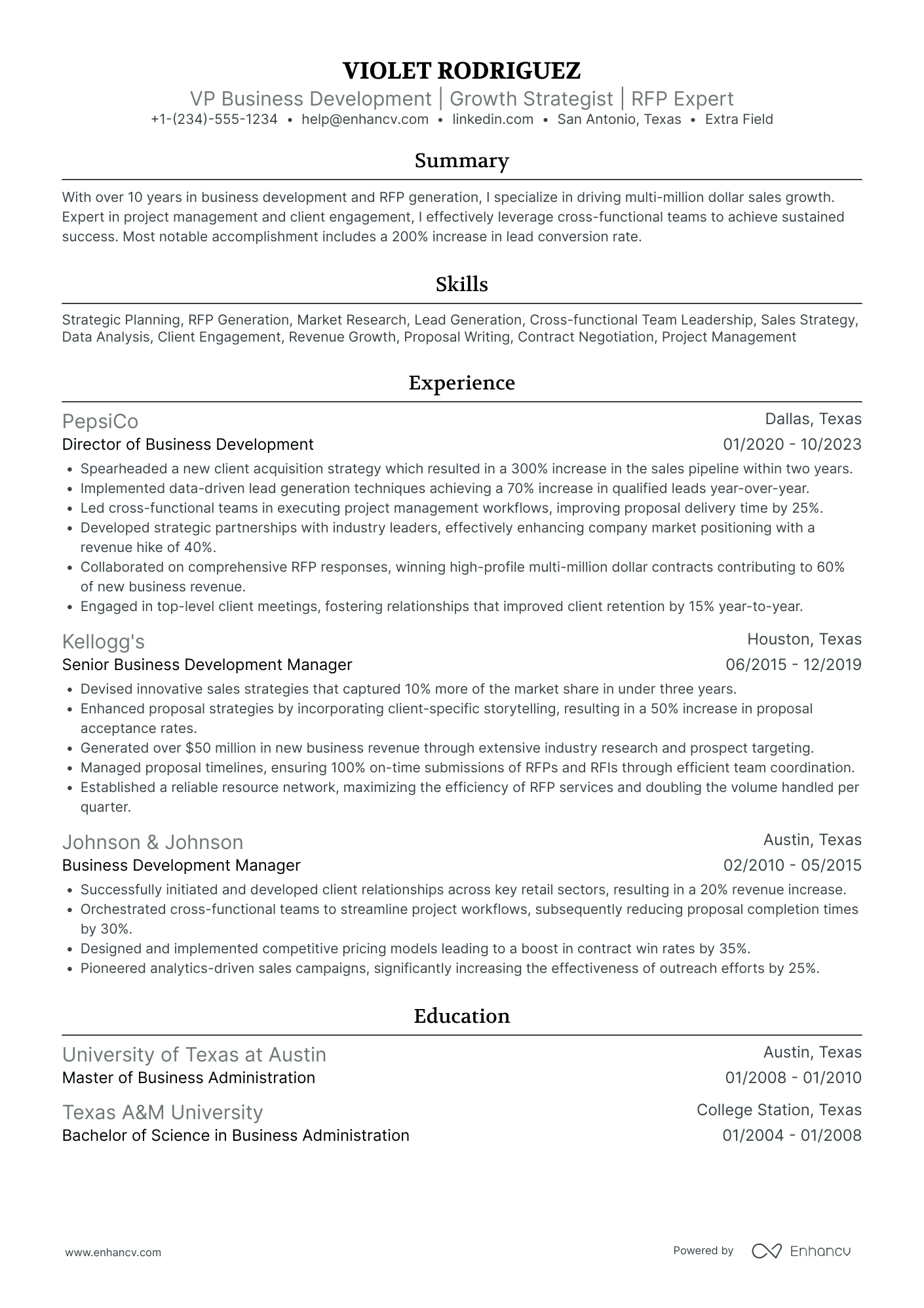 VP of Sales and Business Development Resume Example