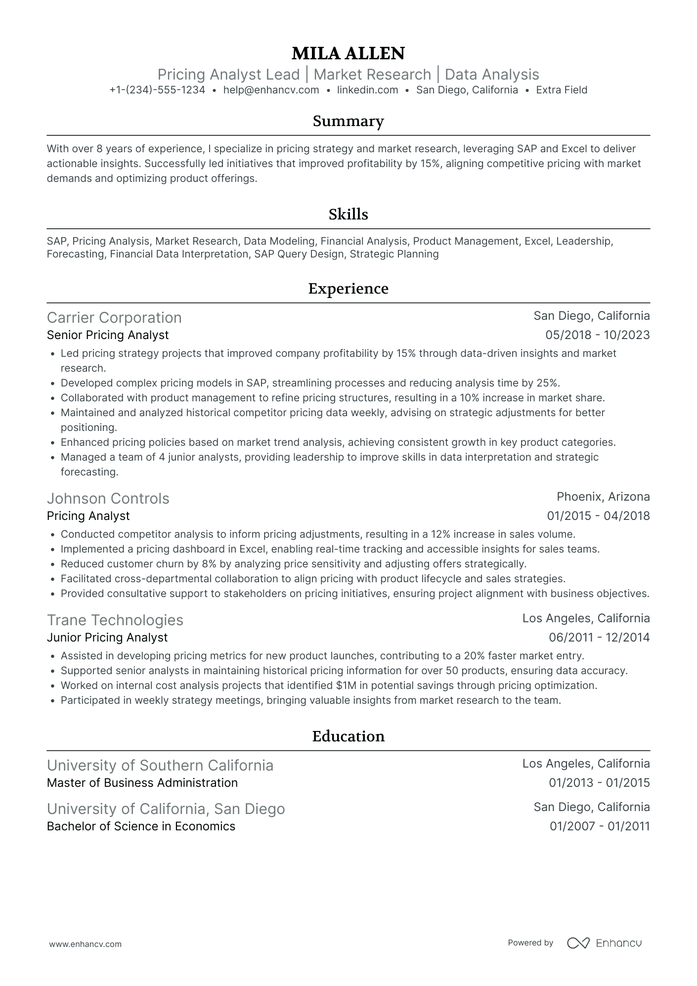 Lead Pricing Analyst Resume Example