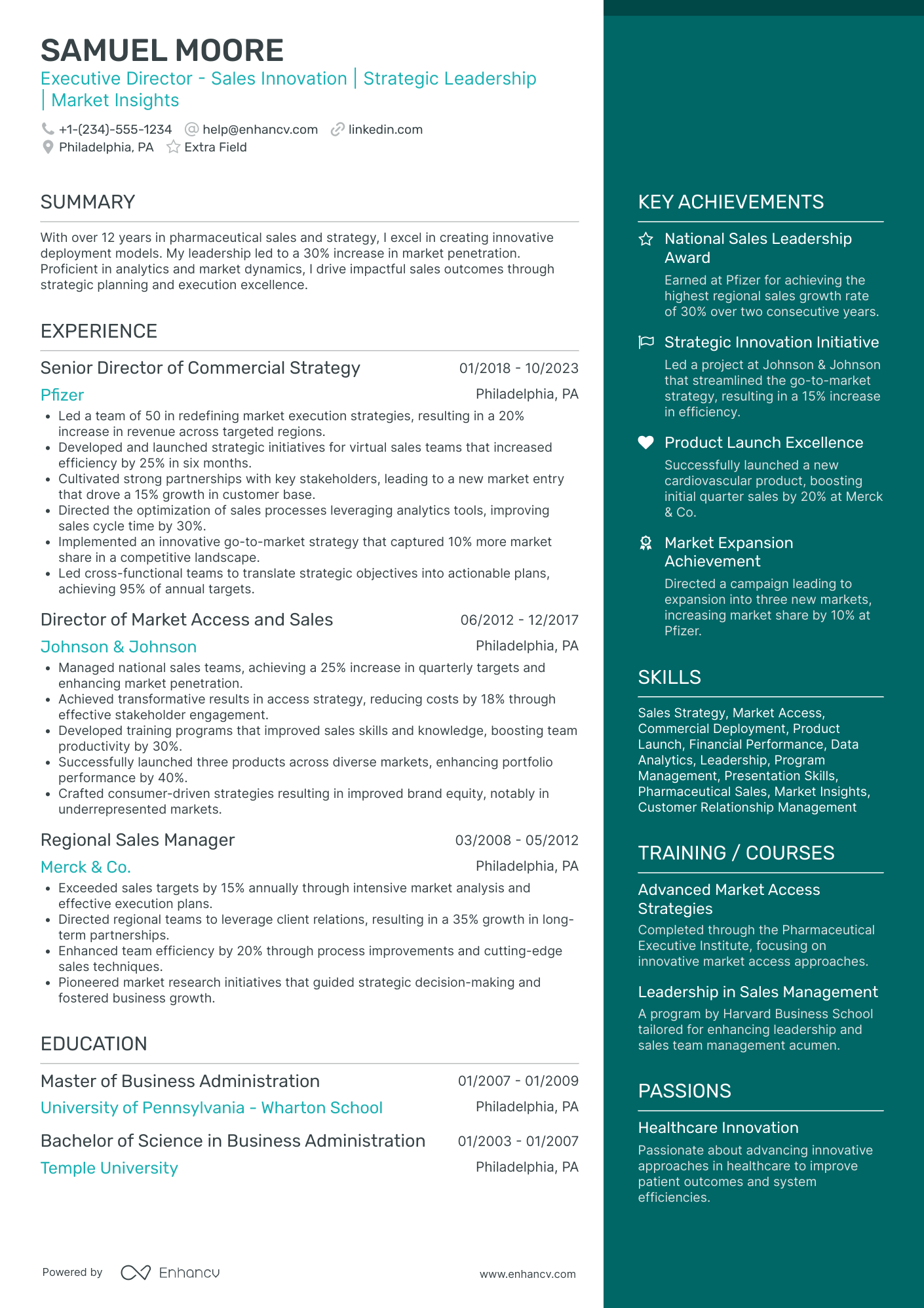 Executive Director of Sales Resume Example