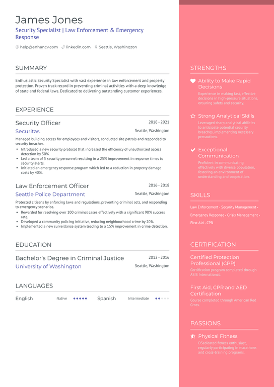 Security Field Officer Resume Example