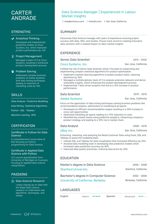 Data Science Manager Resume Example