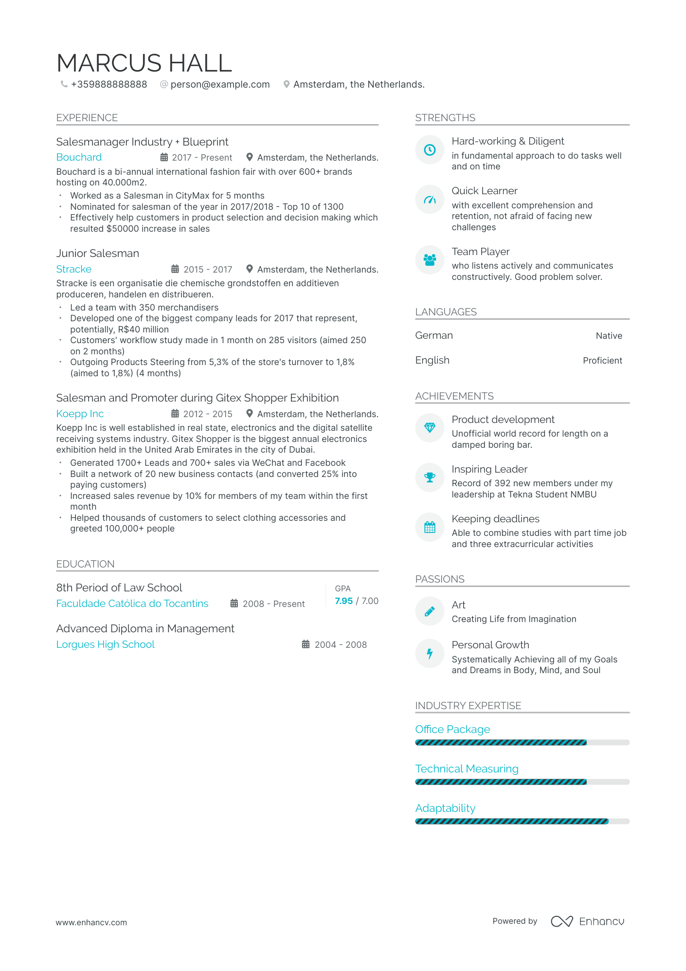 Salesman Resume Example