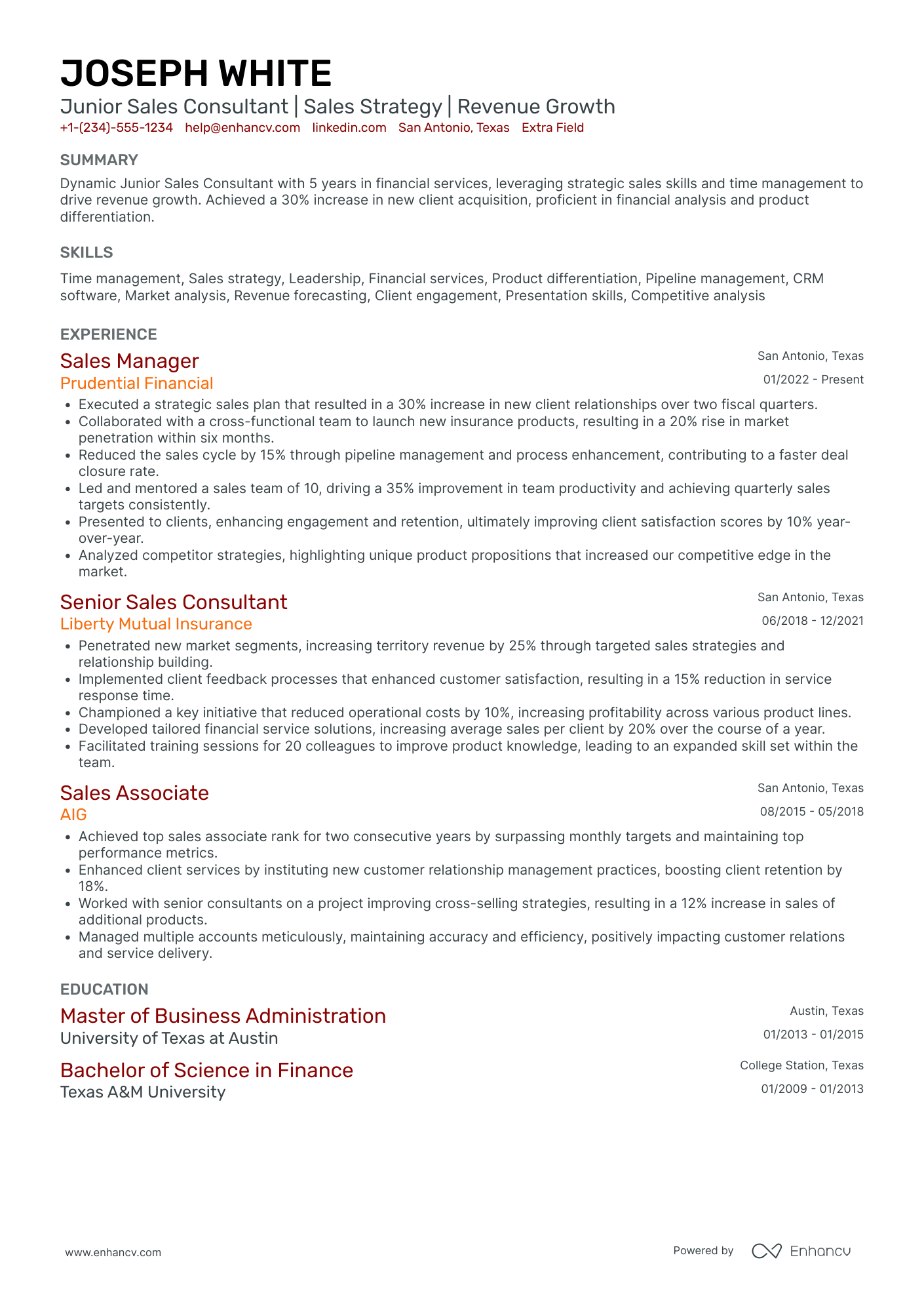 Travel Sales Consultant Resume Example