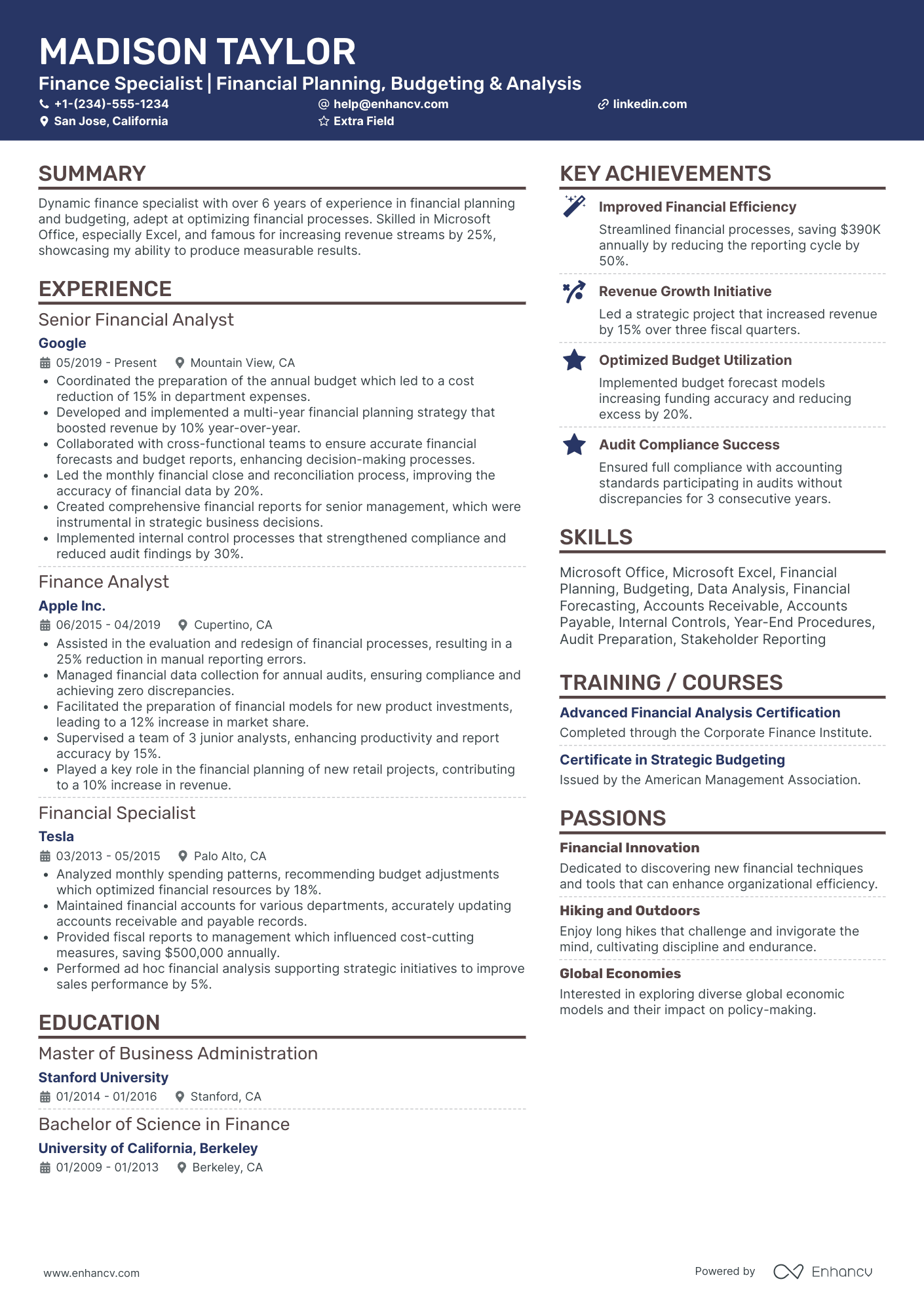 International Finance Specialist Resume Example