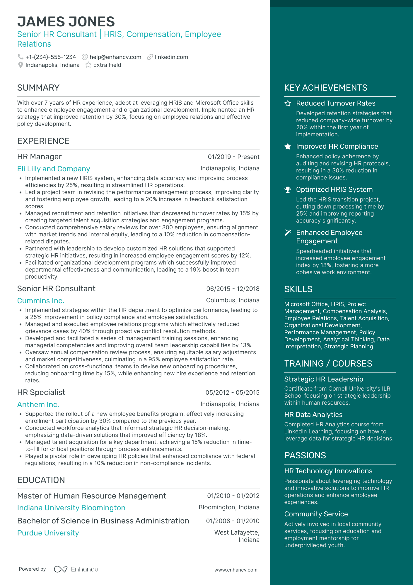 HR Consultant Resume Example