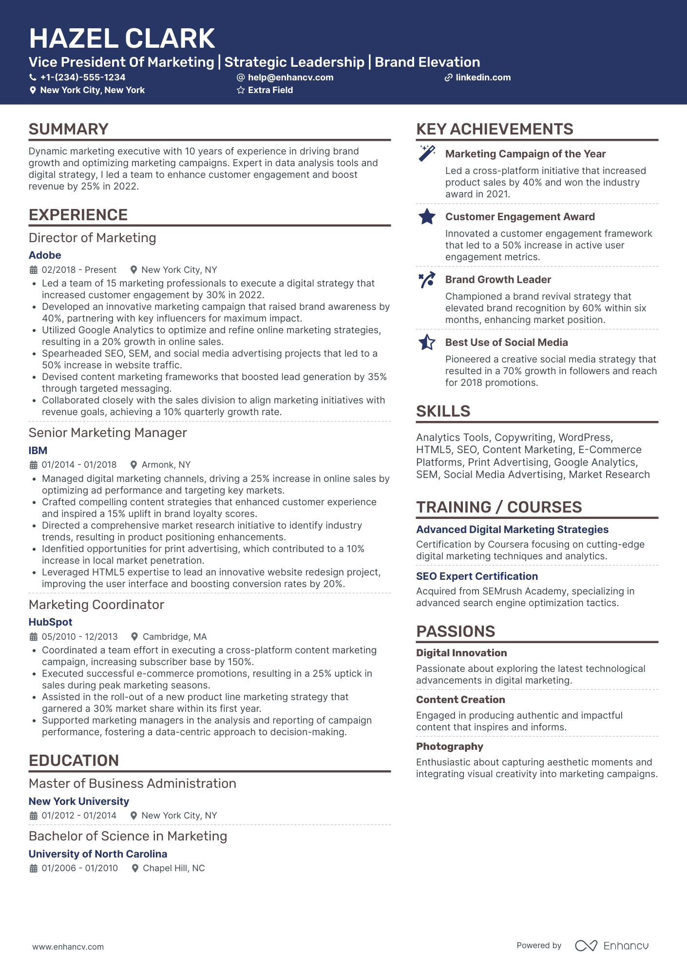 VP Digital Marketing and Data Analysis Resume Example