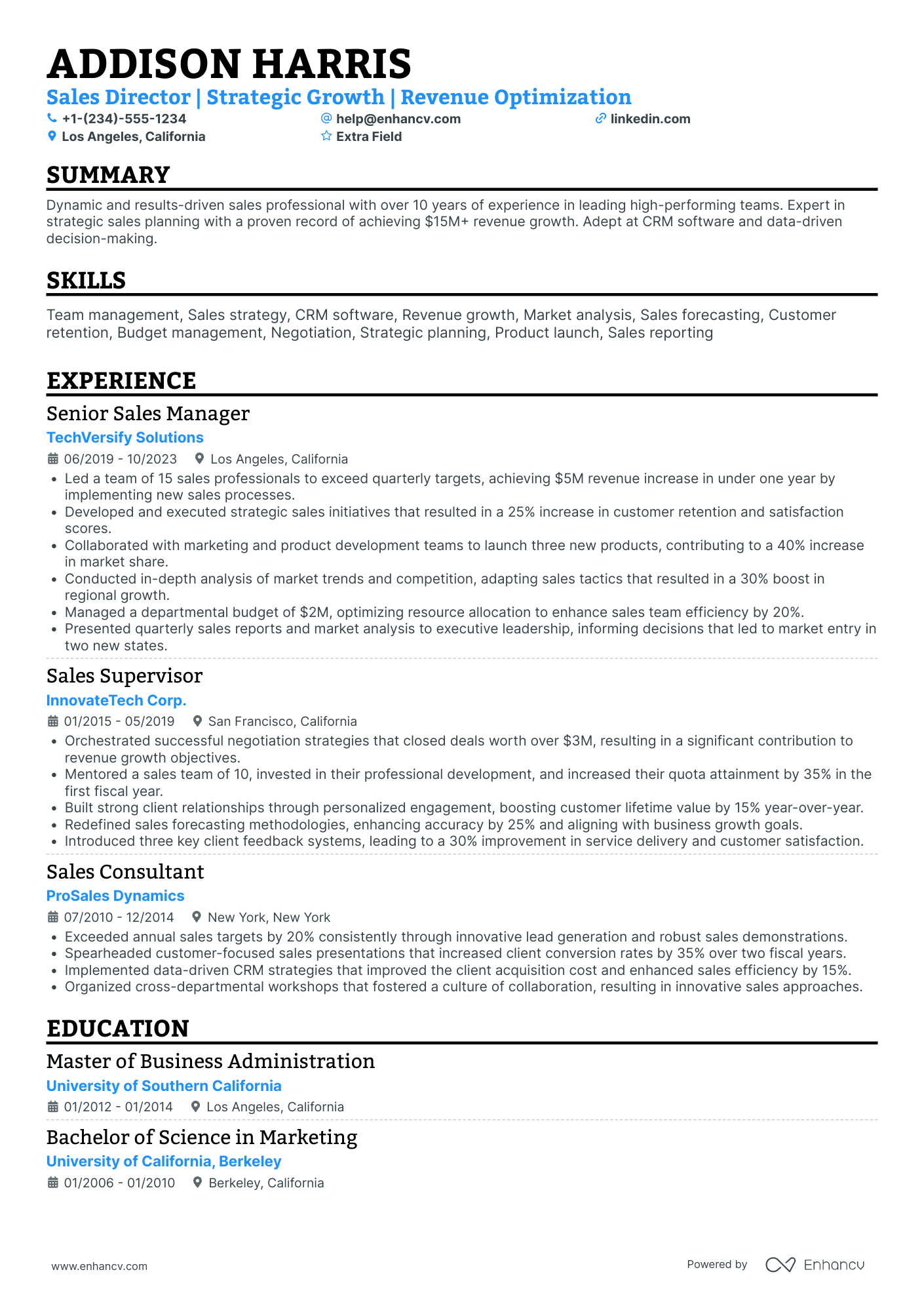 Executive Sales Director Resume Example