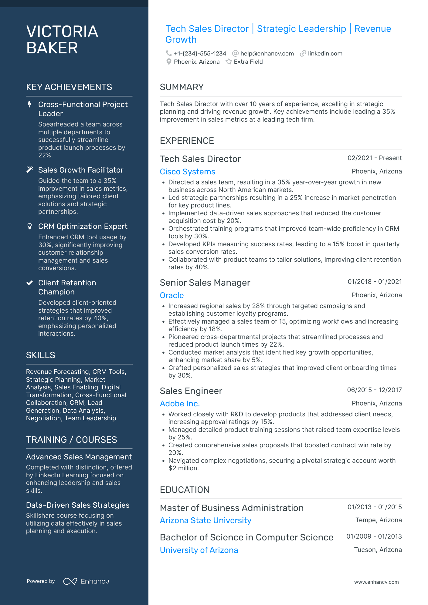 Tech Sales Director Resume Example