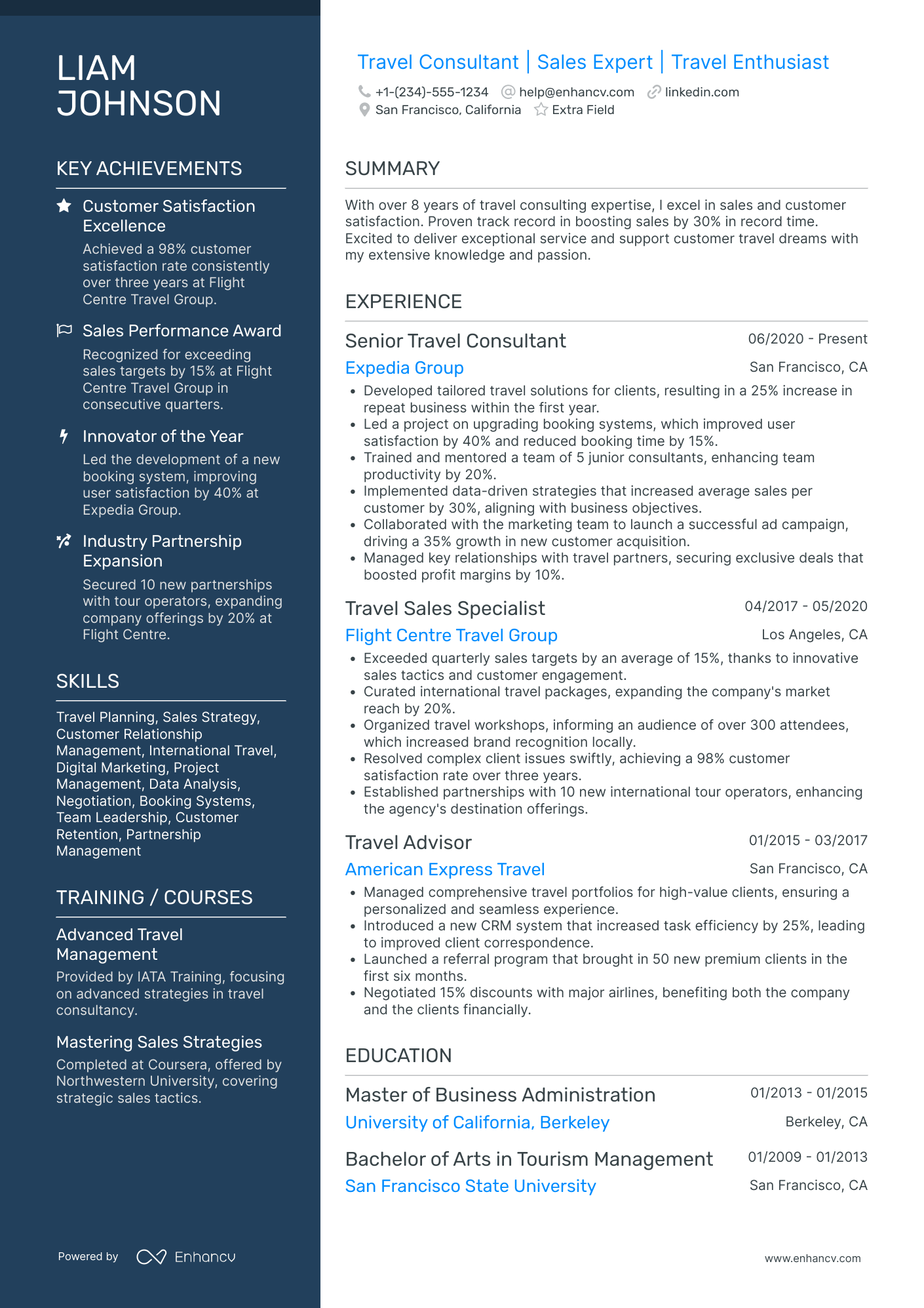 Online Travel Consultant Resume Example