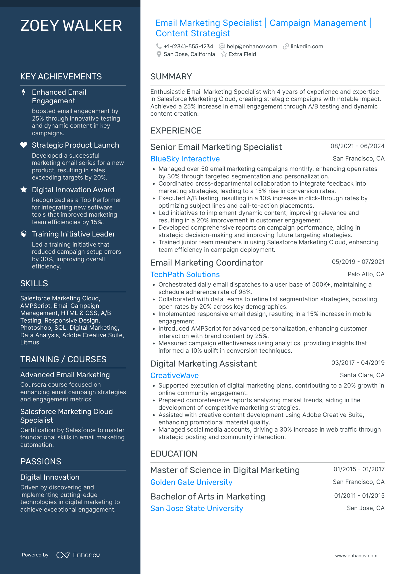 Email Marketing Coordinator Resume Example