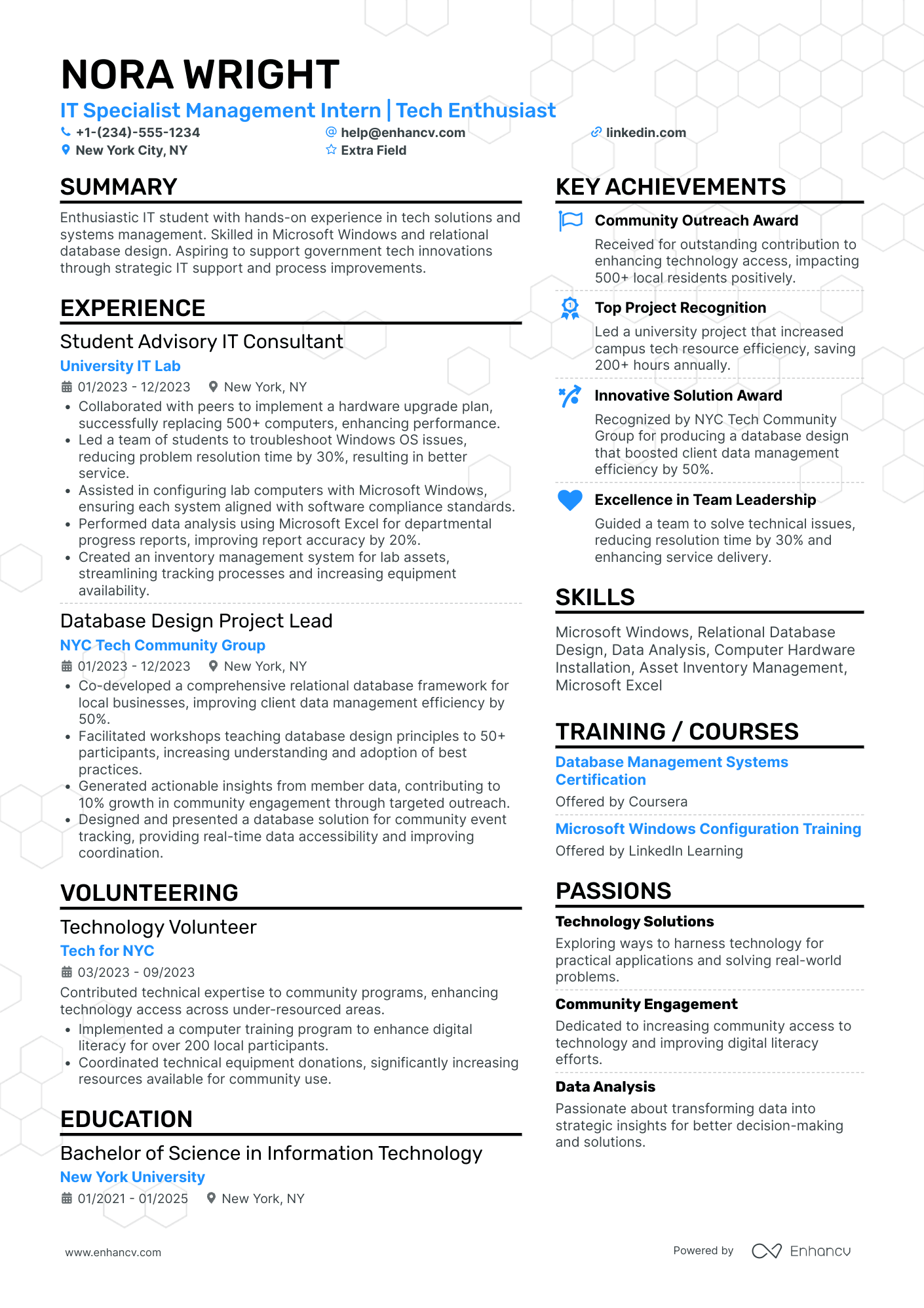 IT Data Management Intern Resume Example