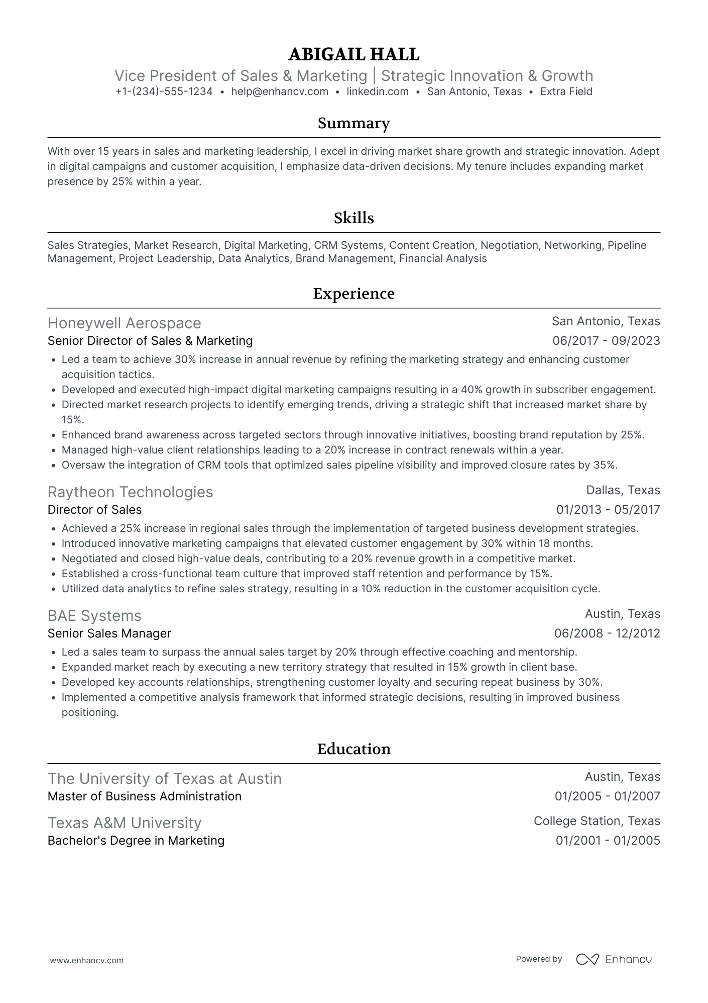 VP Digital Marketing Analytics Resume Example