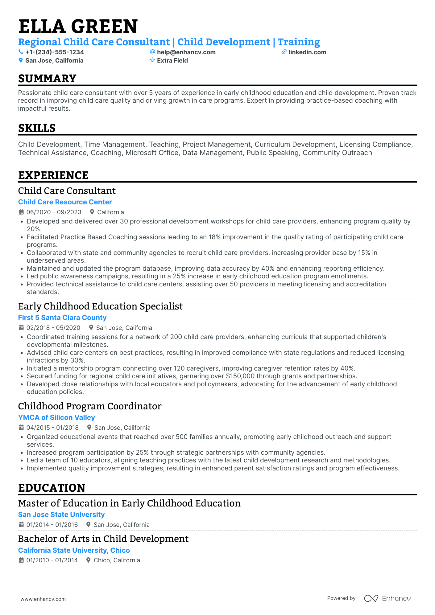 Child Care Consultant Resume Example