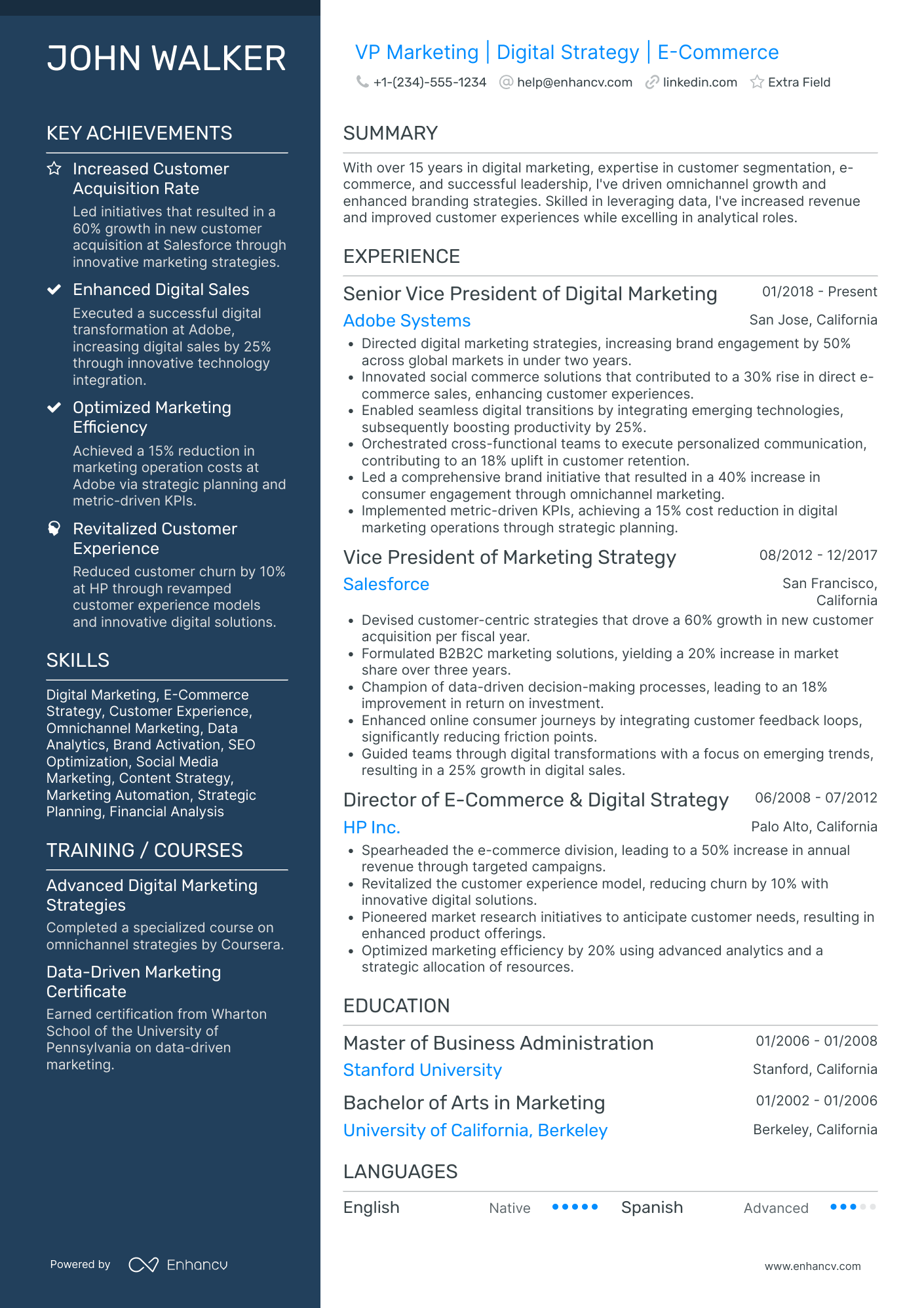 VP Digital Marketing and E commerce Resume Example