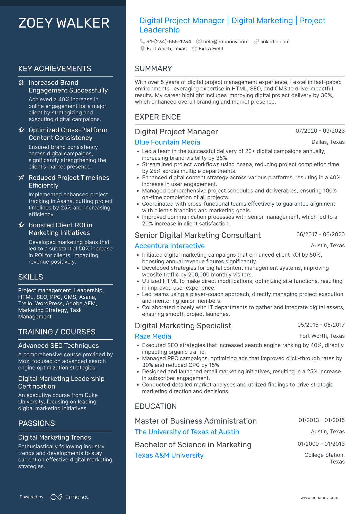 Digital Marketing SEO Consultant Resume Example