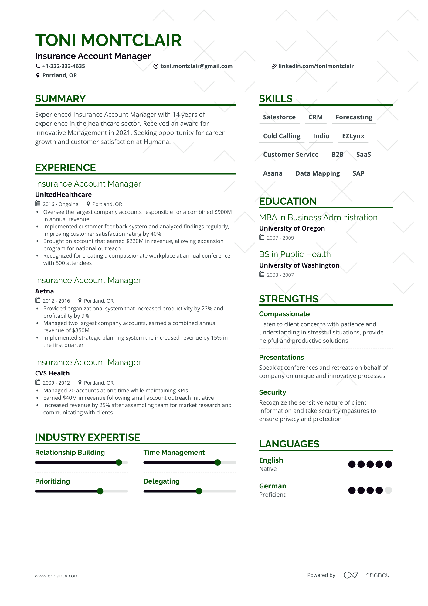 Insurance Account Manager Resume Example