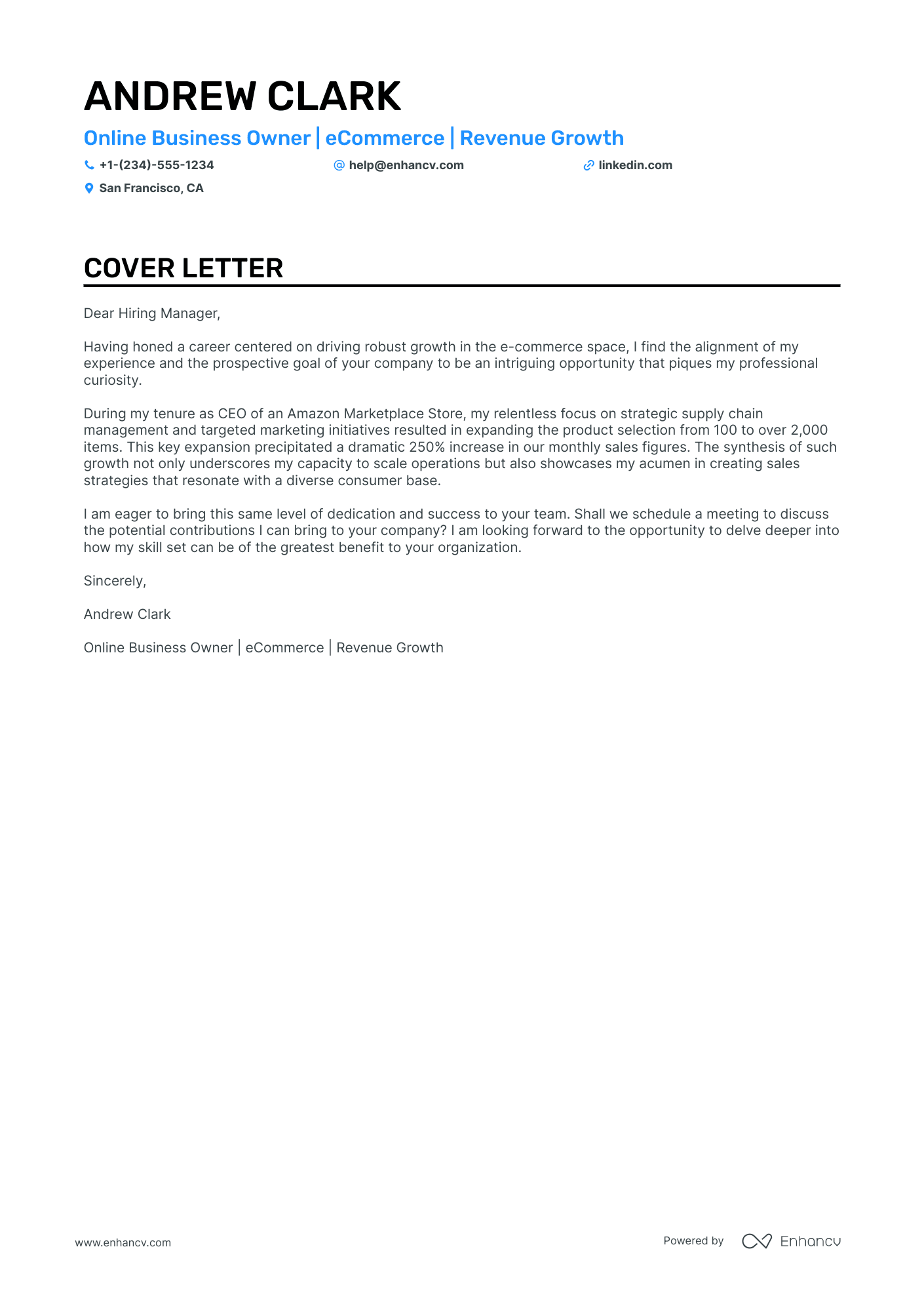 Online Business Owner Resume Example